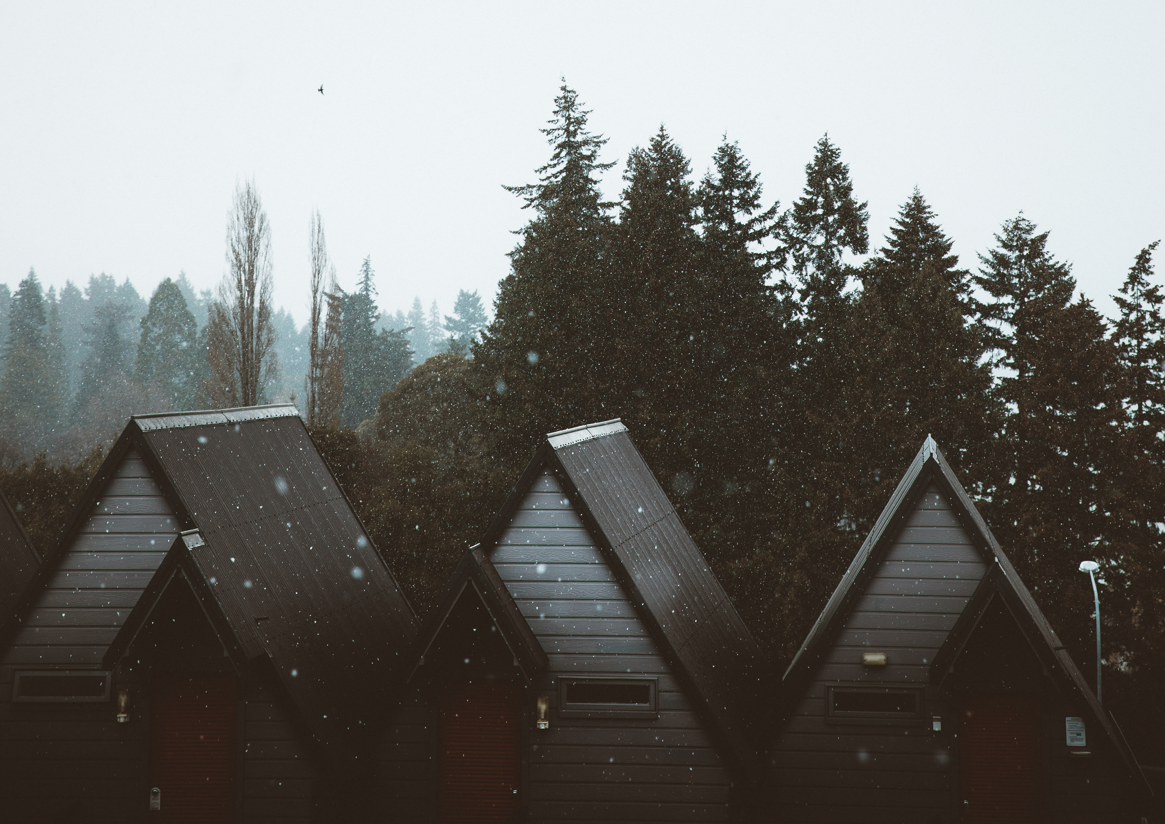 Queenstown Snow