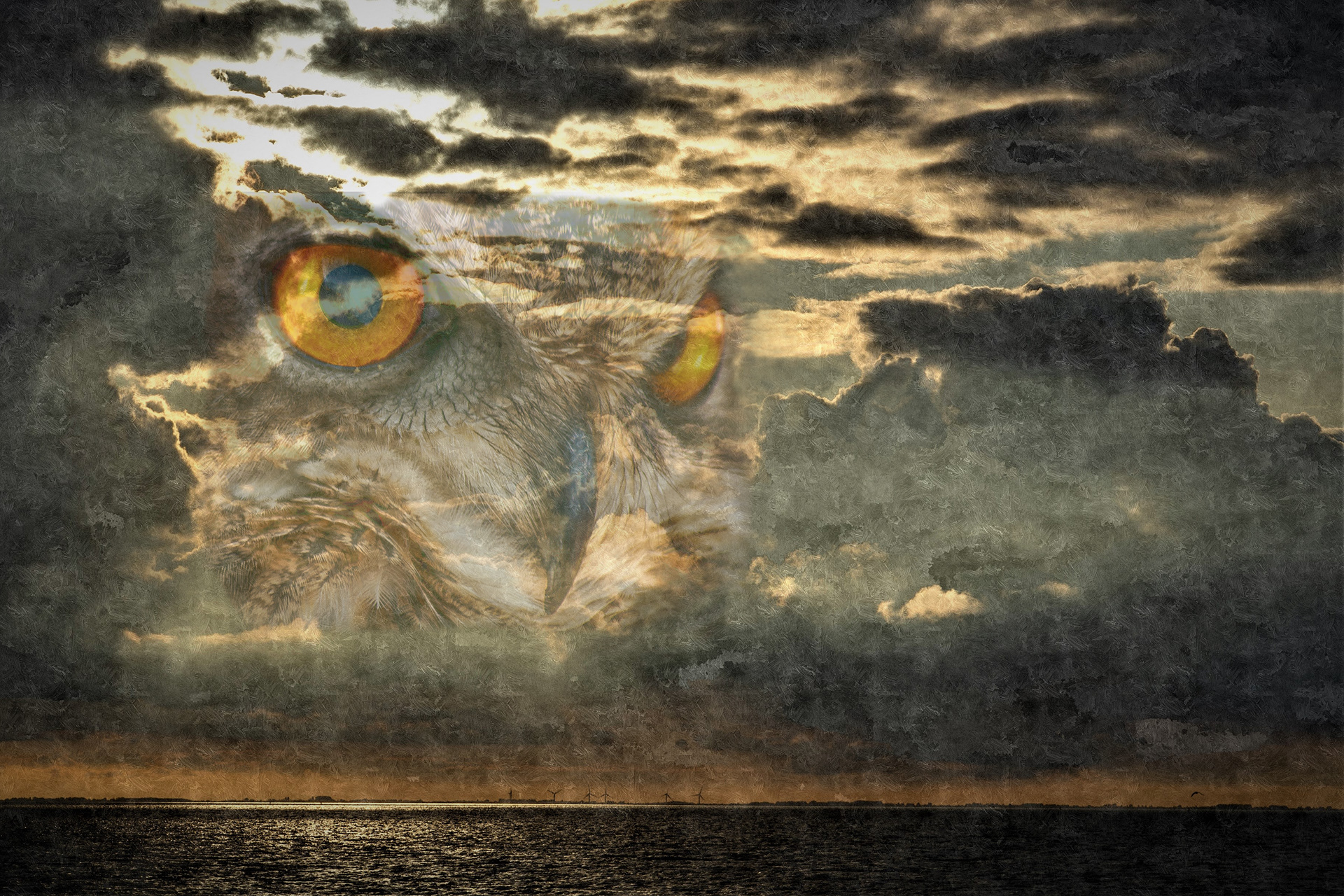 Owl - in oils