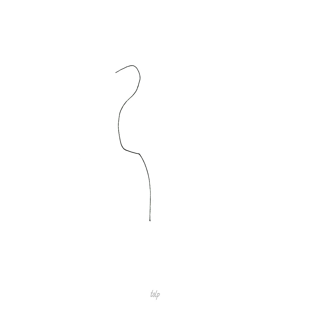 Standing Bird