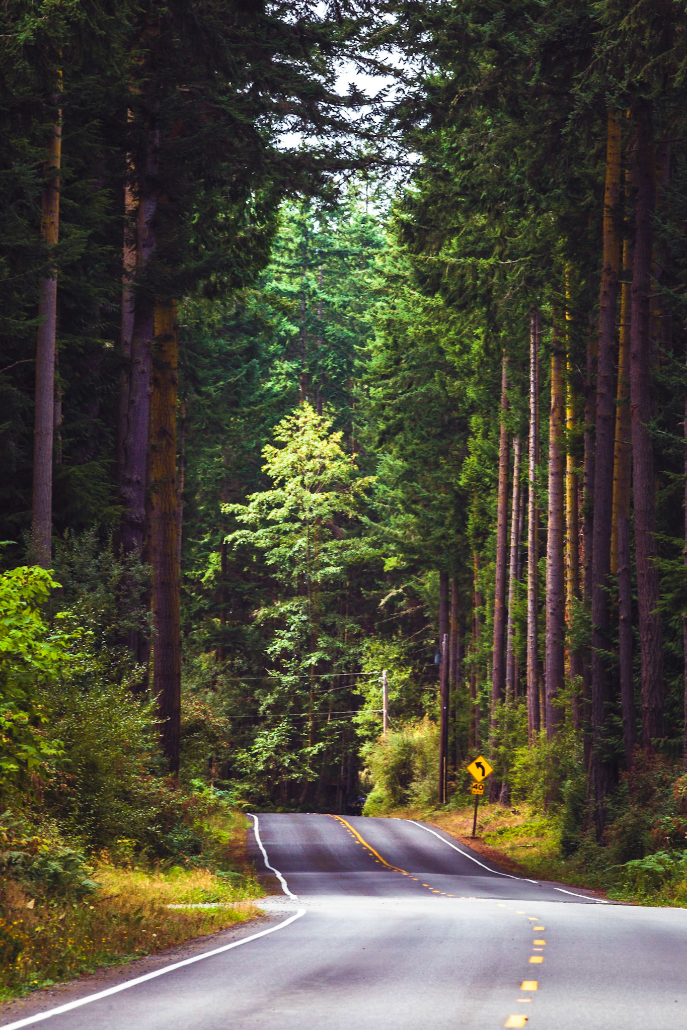 Whidbey Roads