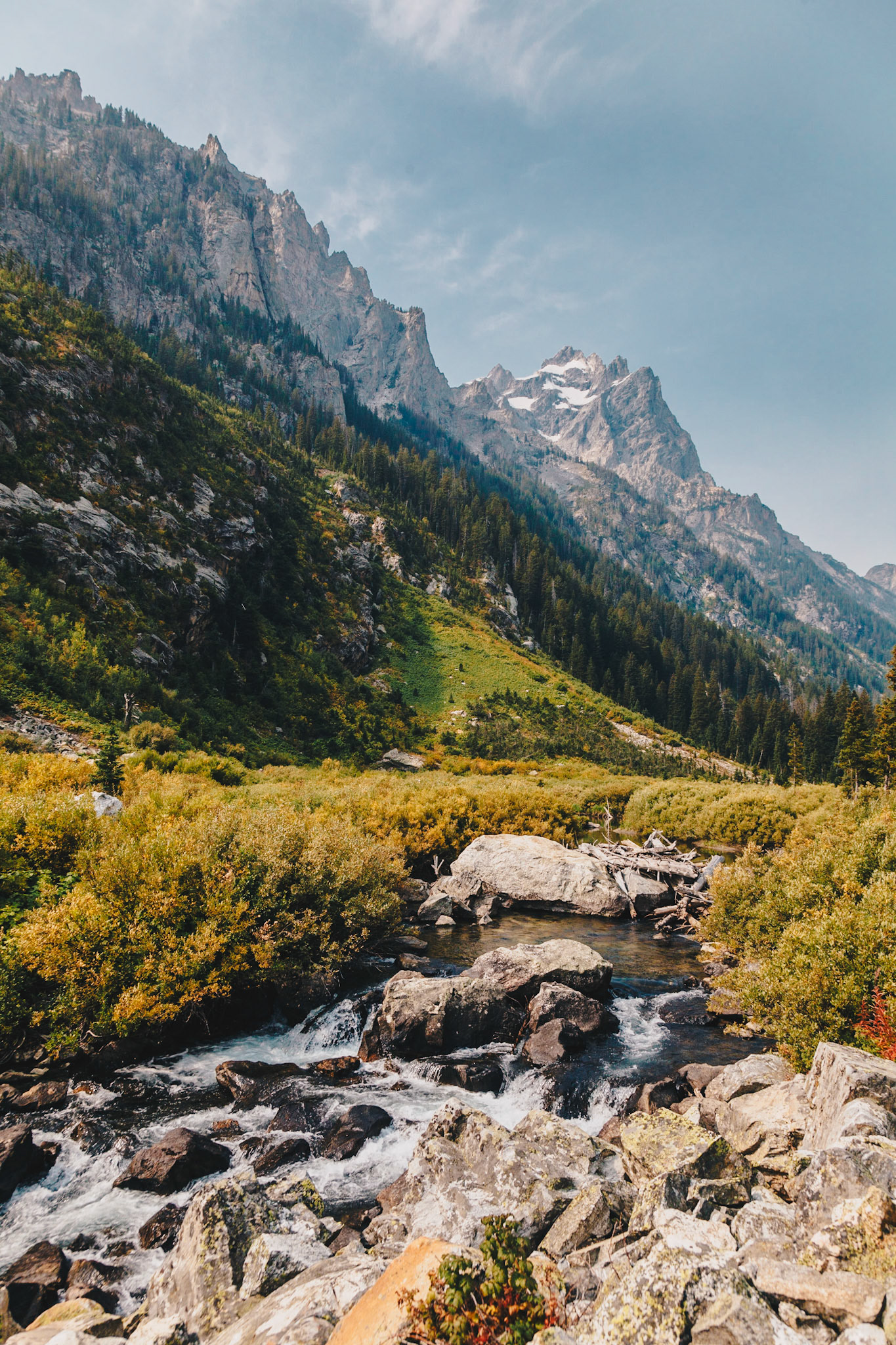 Cascade Canyon View, WY