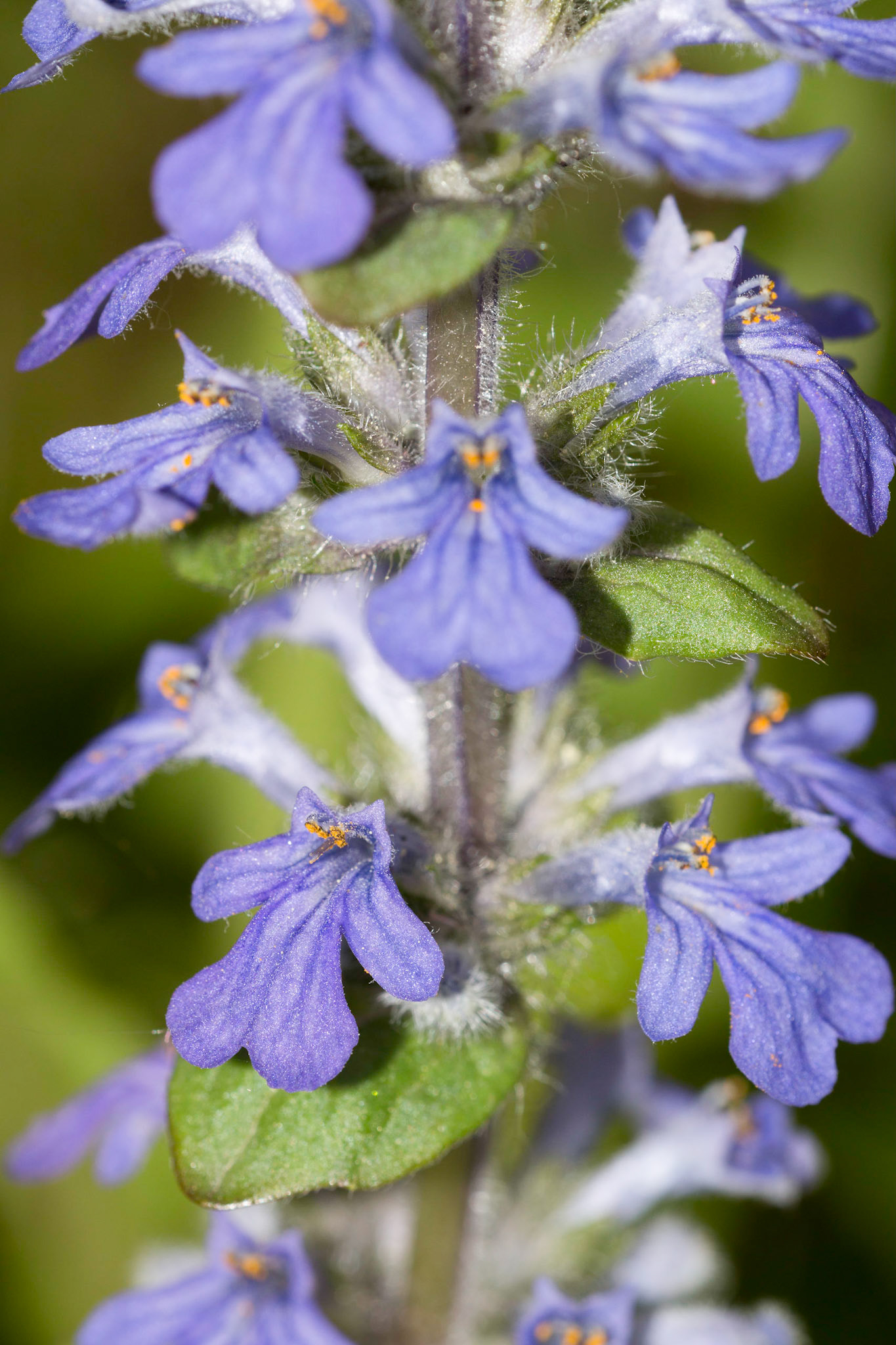 Printed on 2015-07-12