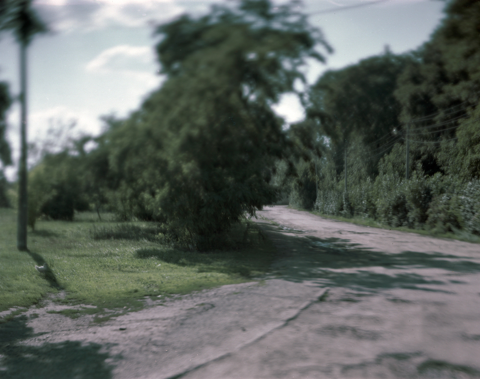 Uhniv, Ukraine, 2018 / The center of what was once a thriving Jewish town.