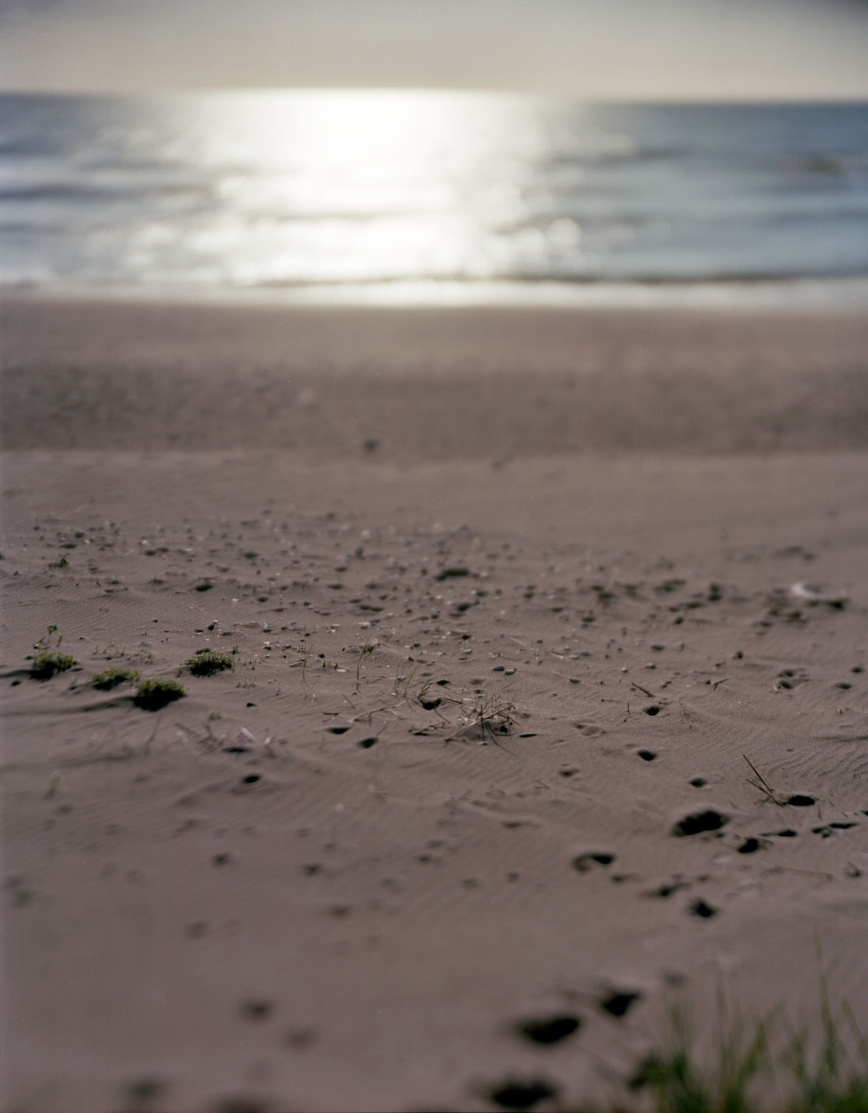 Liepaja, Latvia, 2017 / View of the seaside massacre site of the city's Jewish population in 1941.