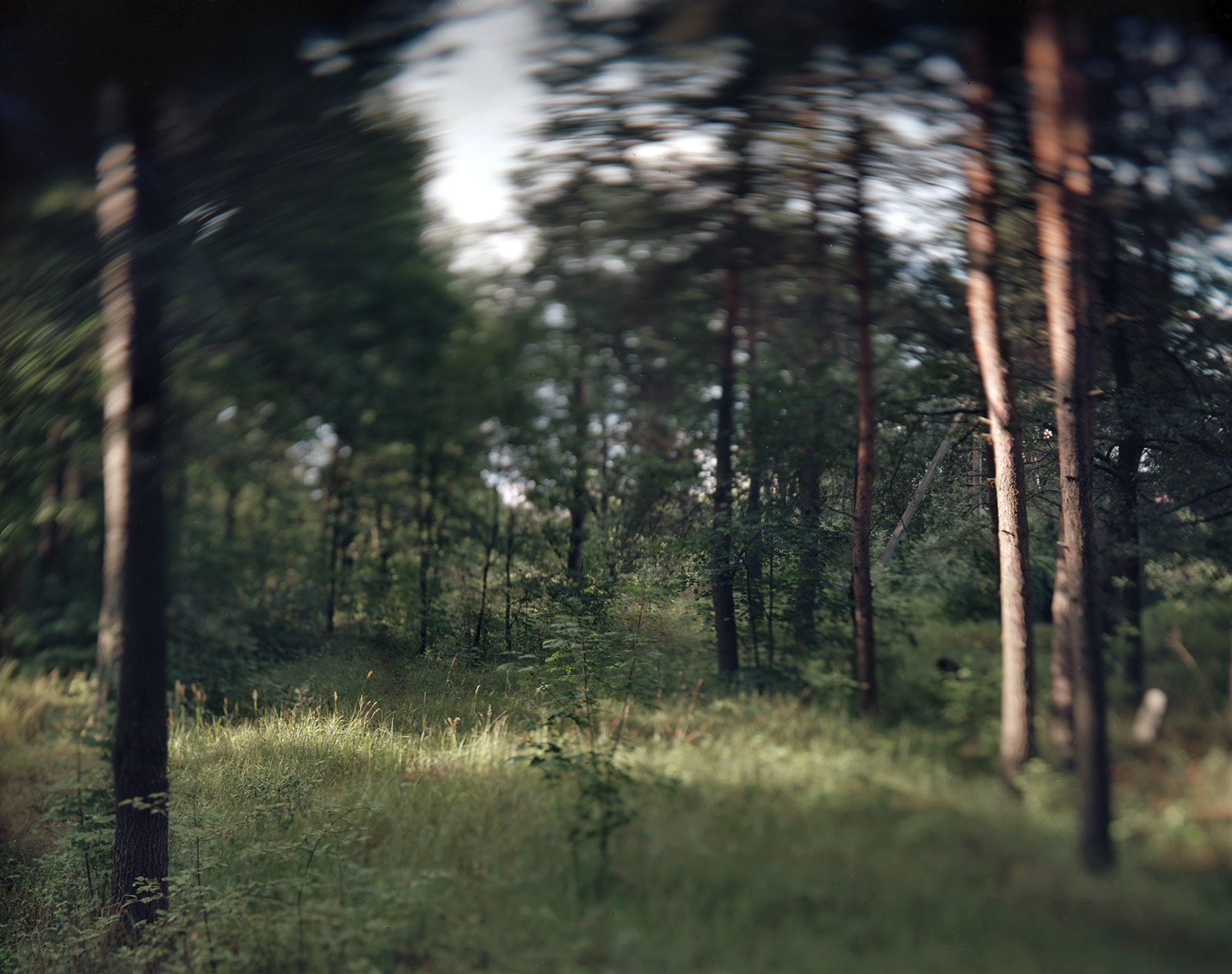 Verhnyadvinsk, Belarus, 2019 / Massacre site and mass grave of the Jews of Verhnyadvinsk (formerly Drissa).