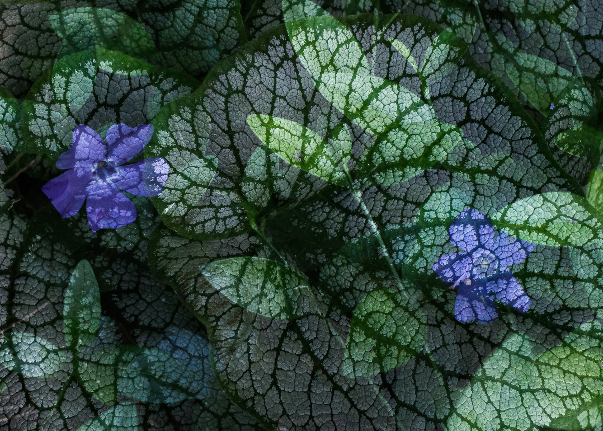 In-camera double exposure