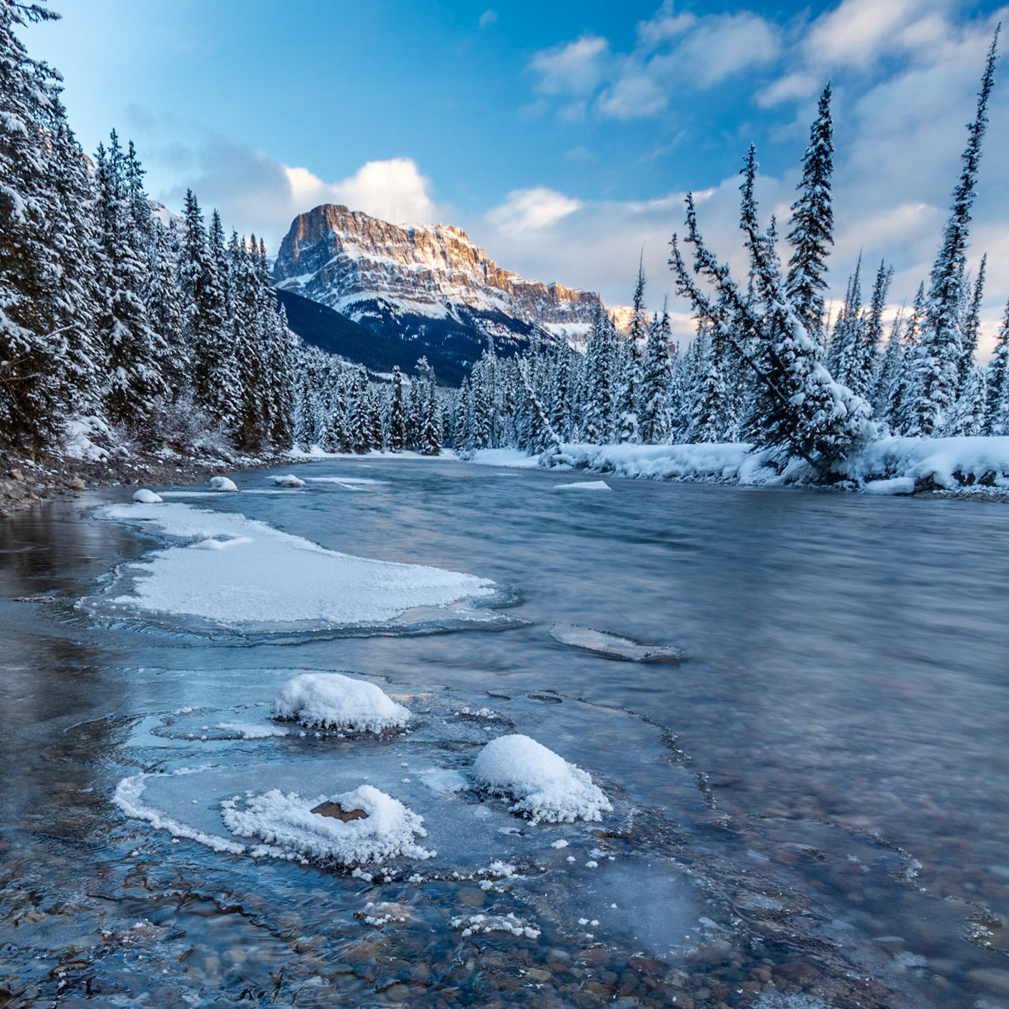 Protection Mountain view from the Icy Bow River