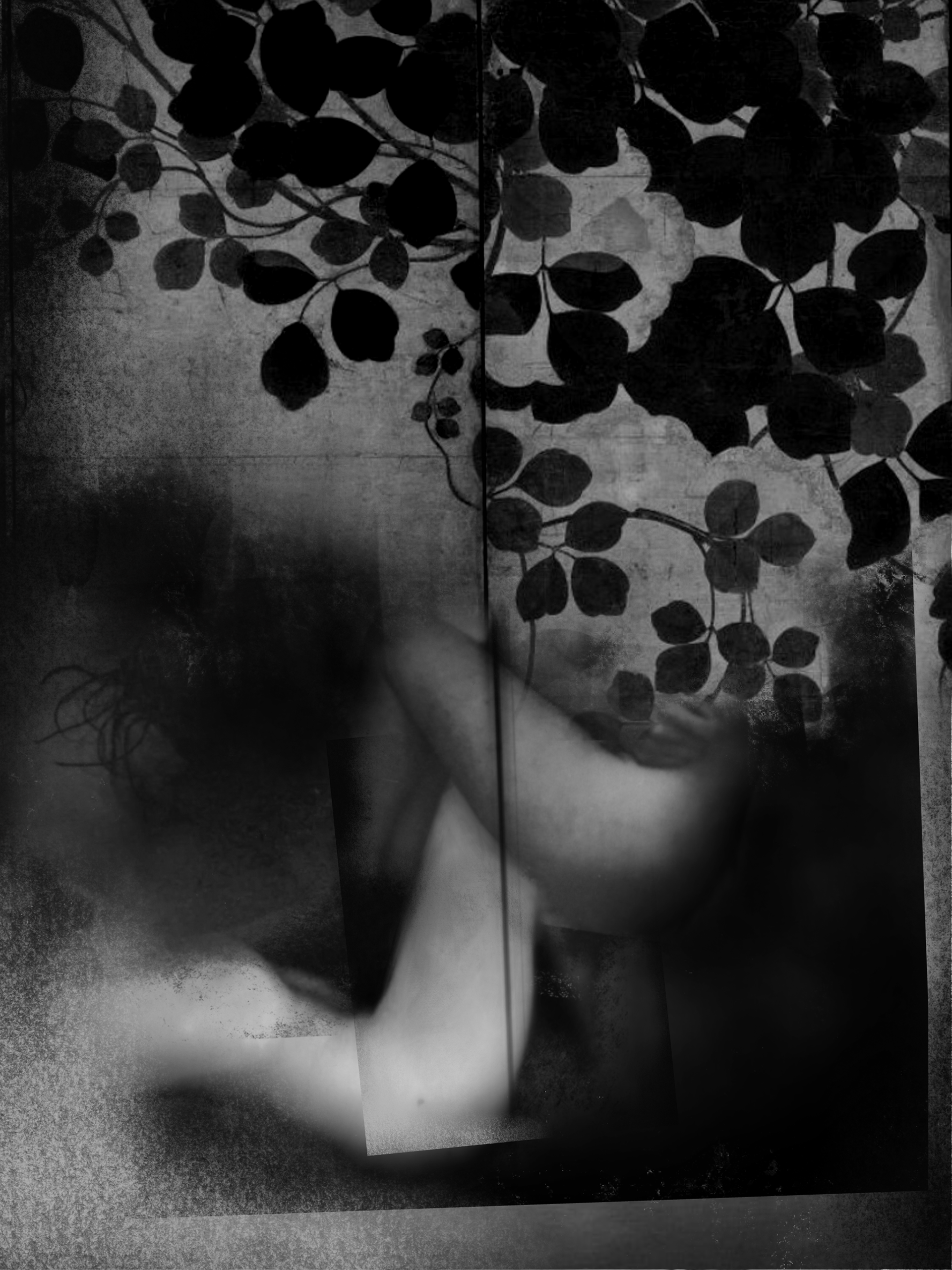 midnight in the garden