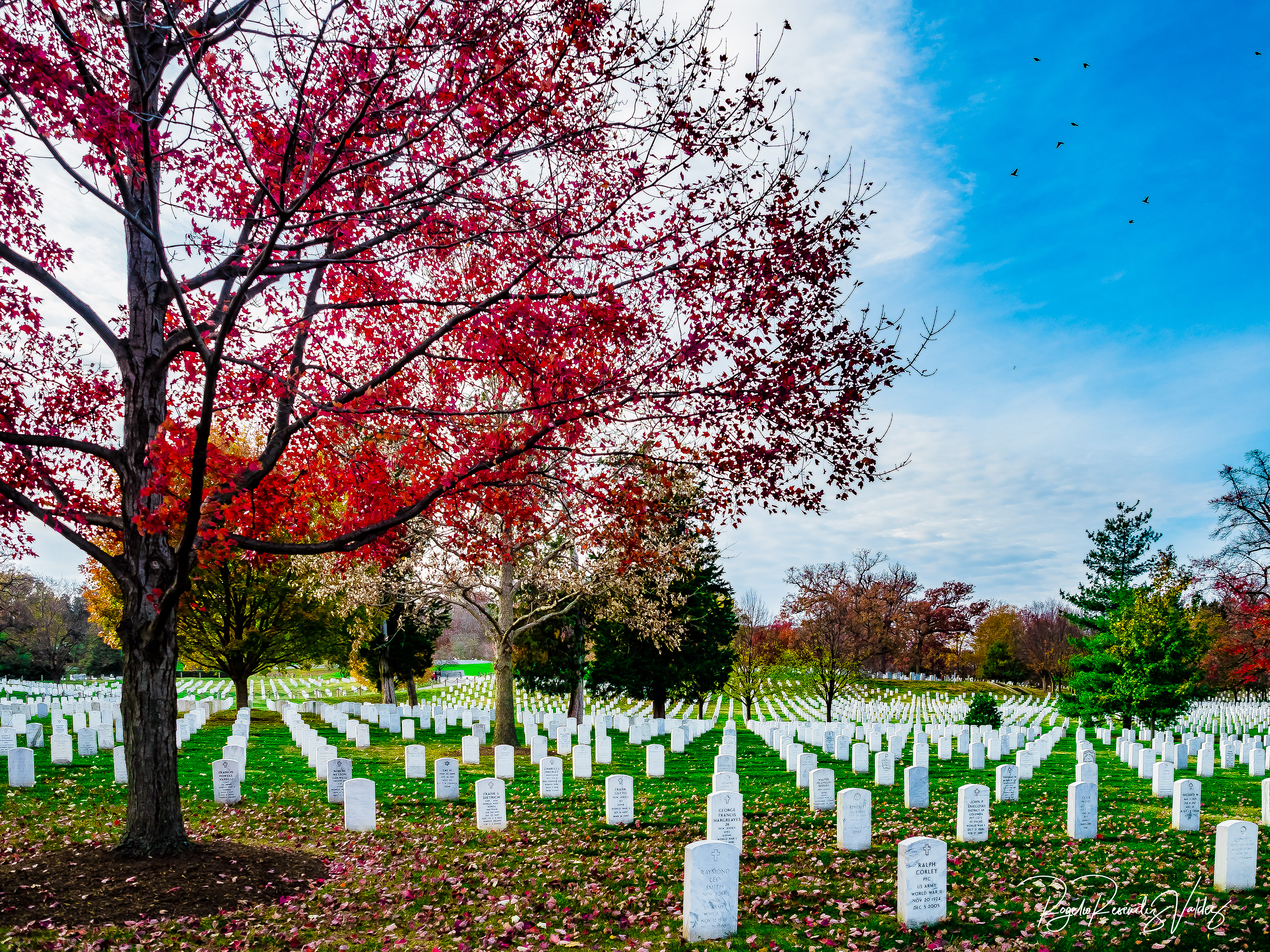 Arlington National Cementery , Virginia