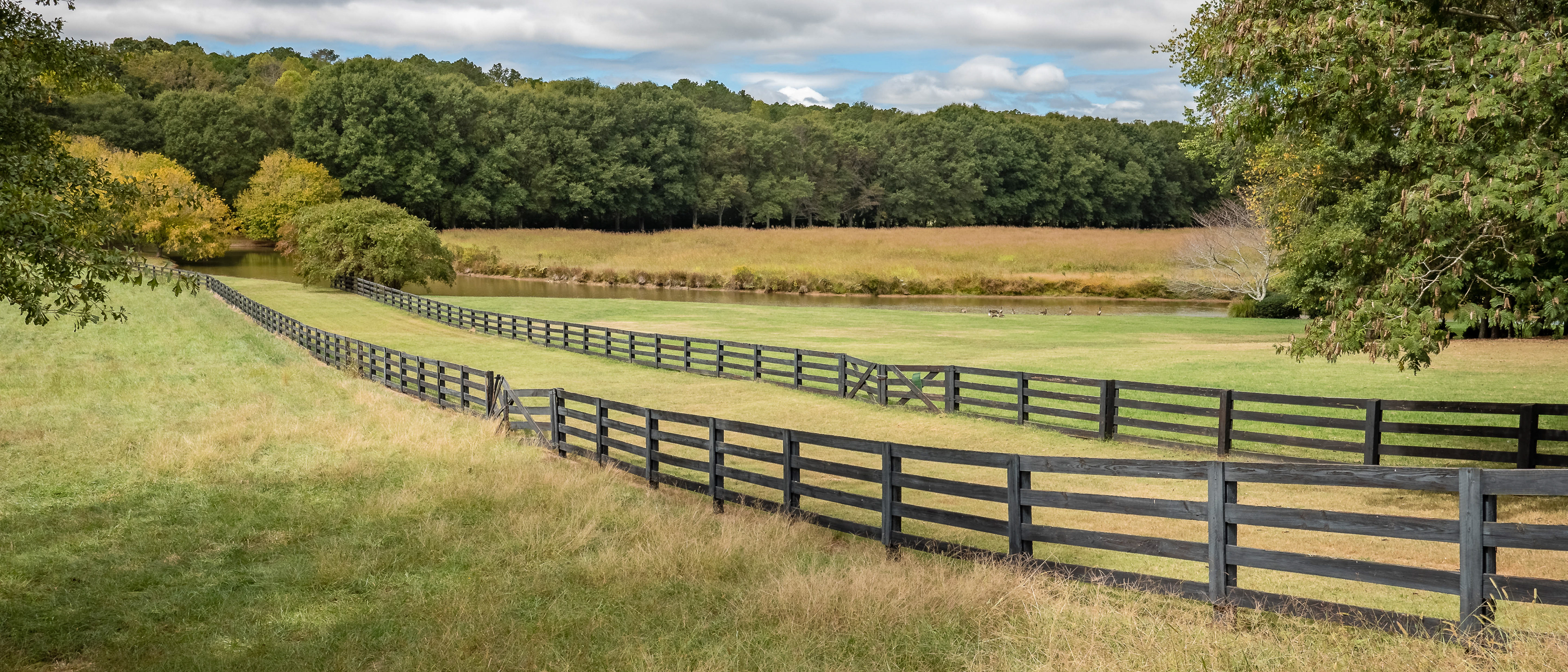 Pasture in Milton, GA
