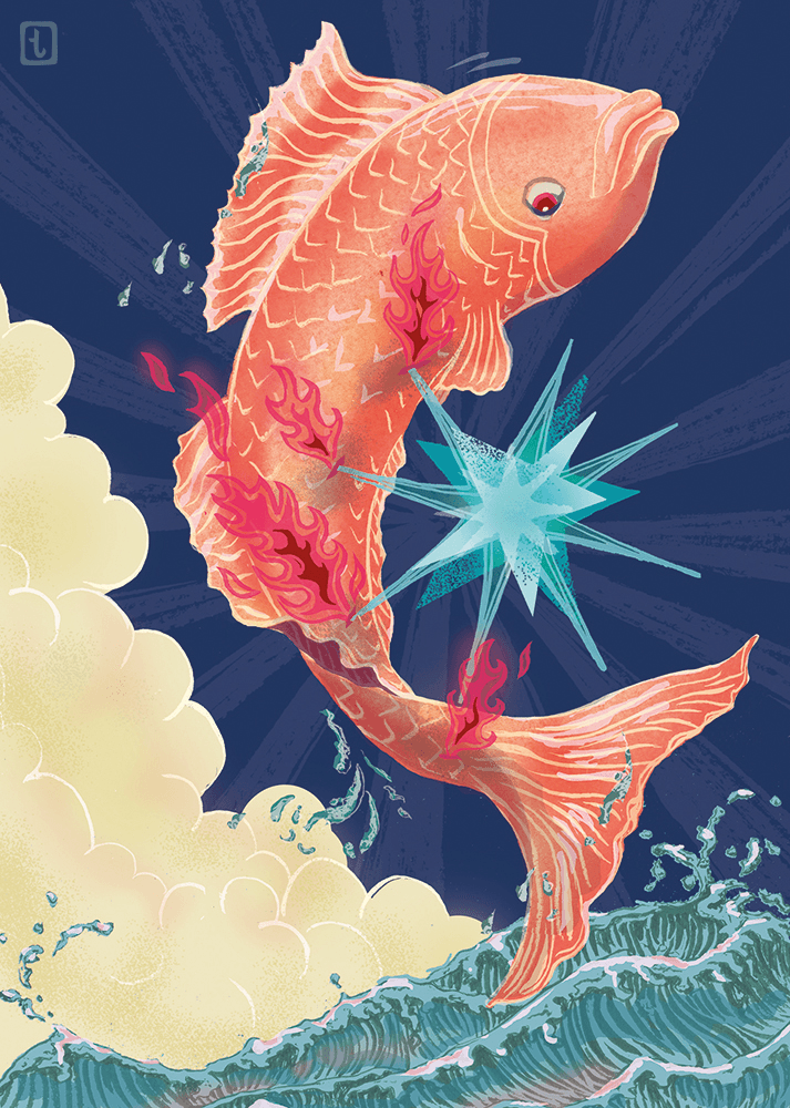 Märchenbuch | The Fish & The Star