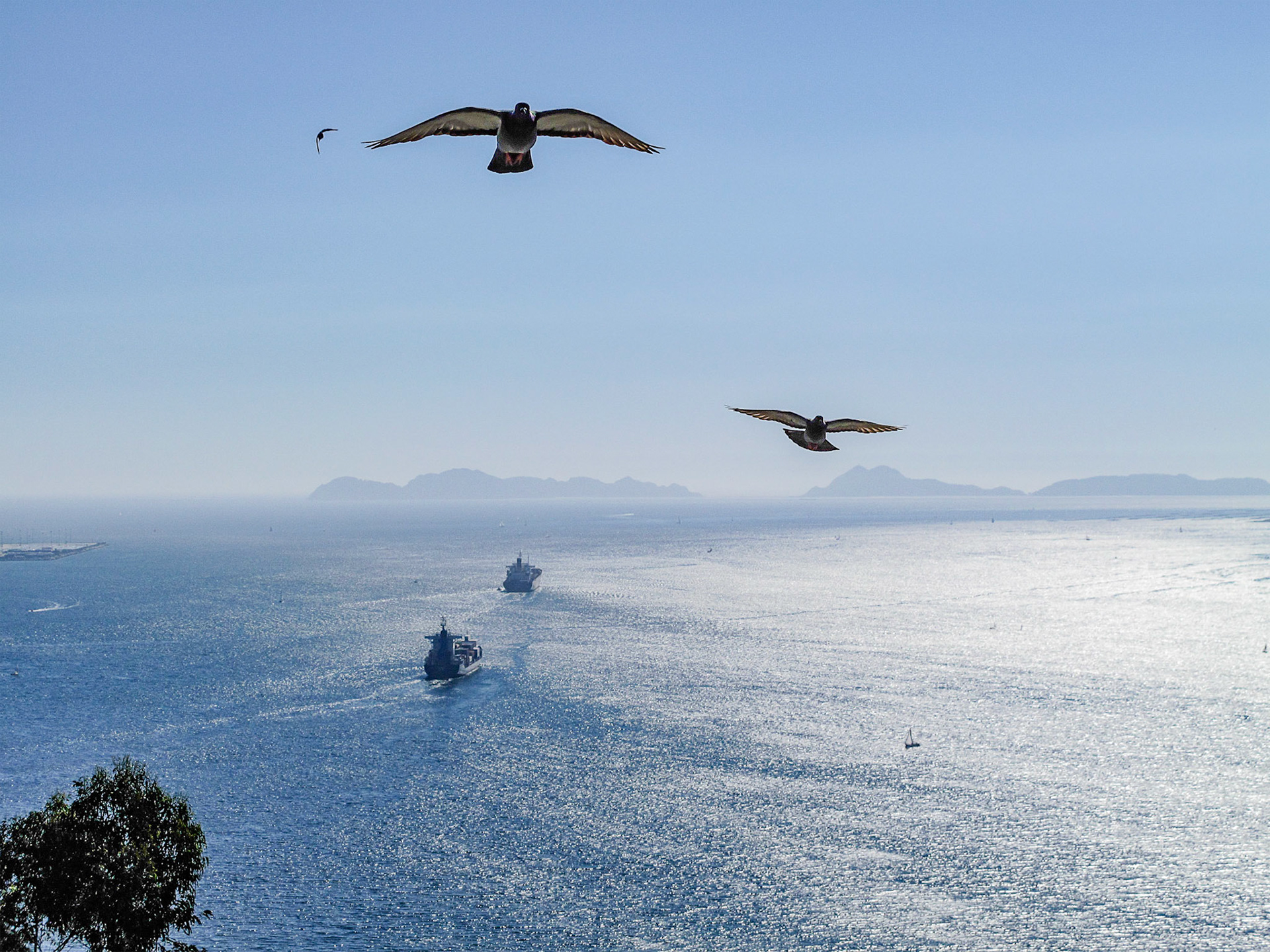 Ría de Vigo en todo su esplendor