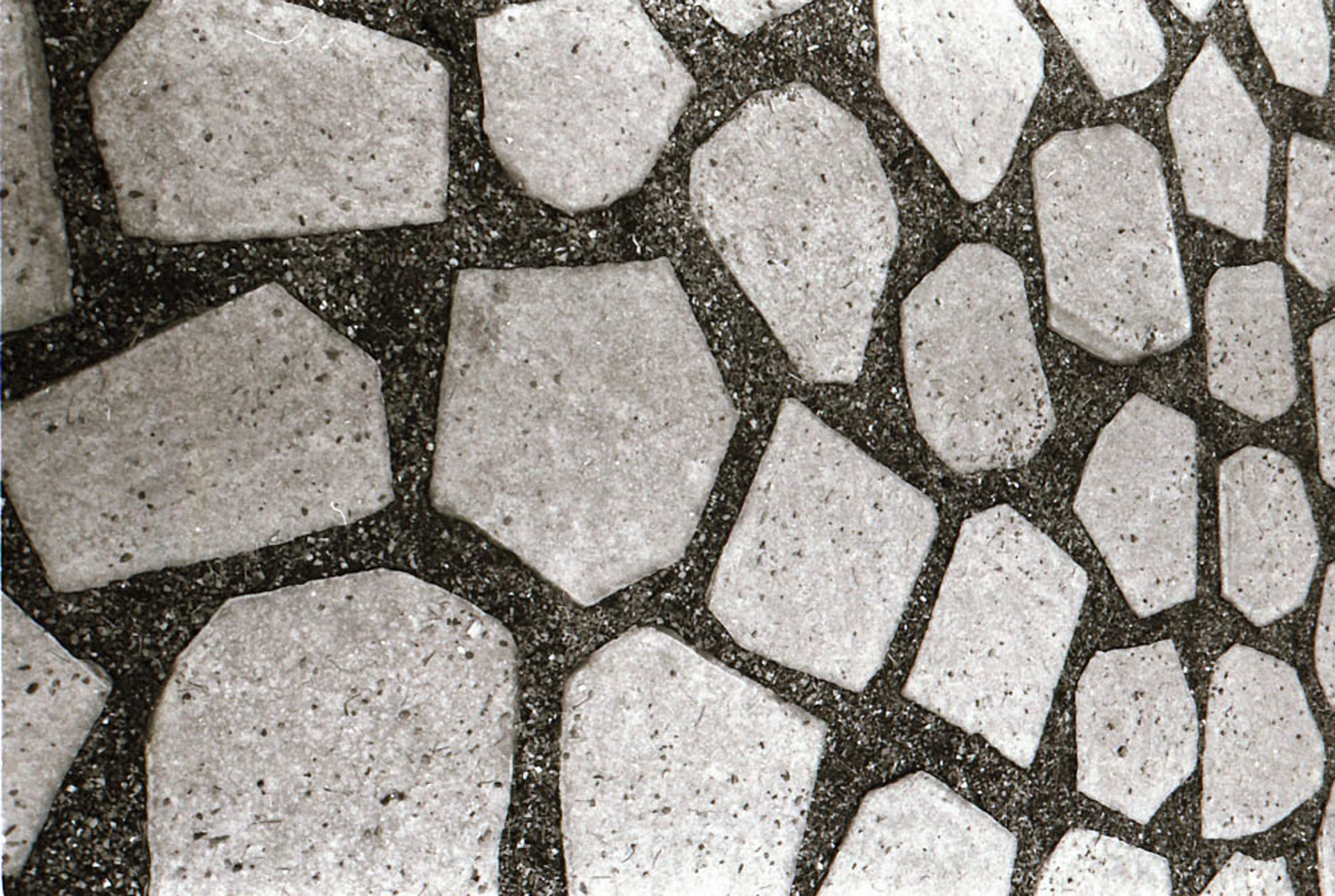 2020 35mm Film Photograph