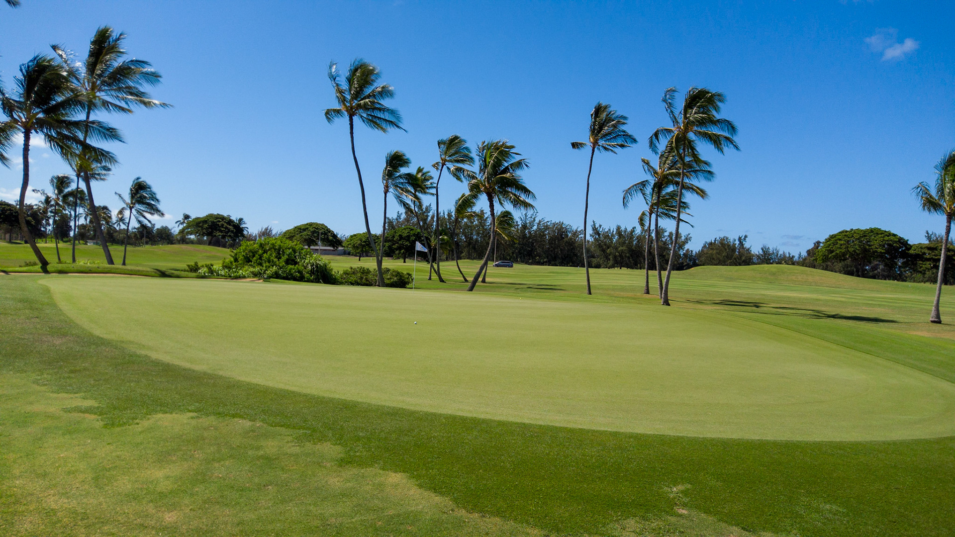 Gilbert Nickelson - Hawaii Prince Golf Club