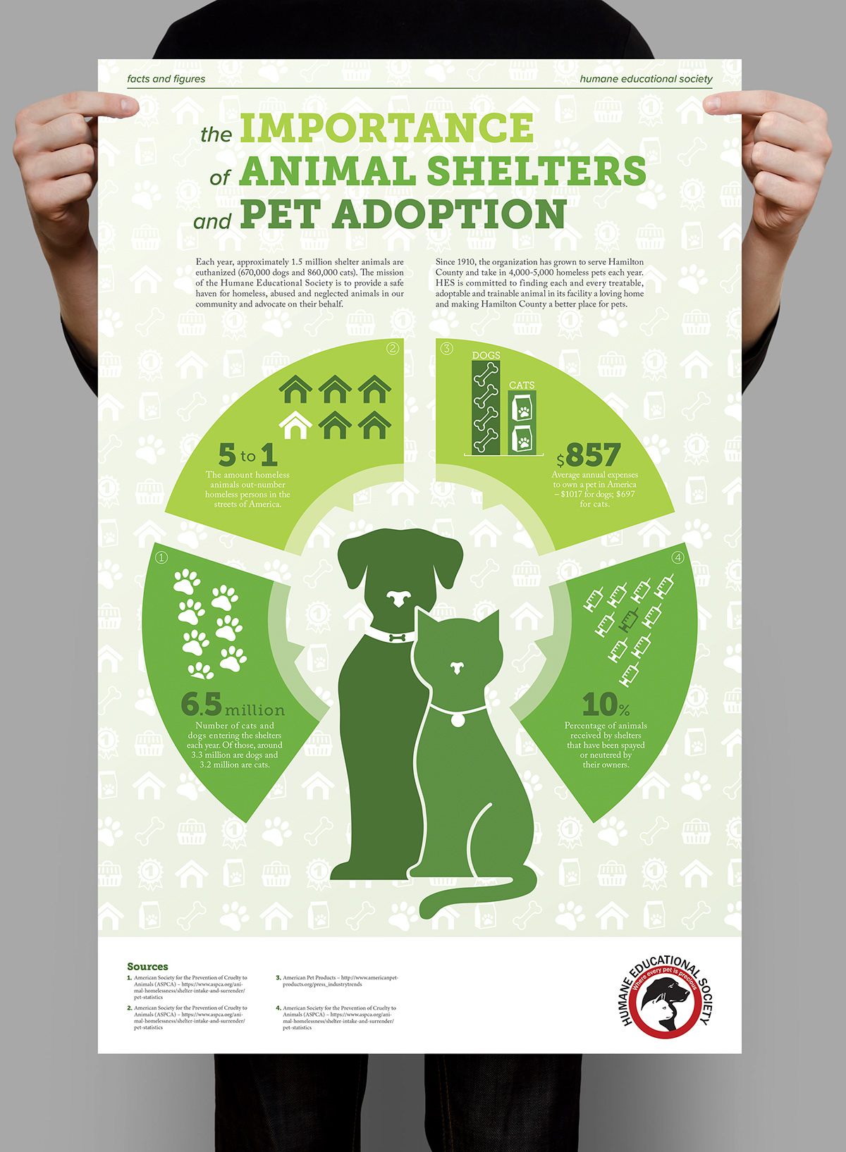 Lauren C. Davis Design Portfolio Humane Educational Society Infographic