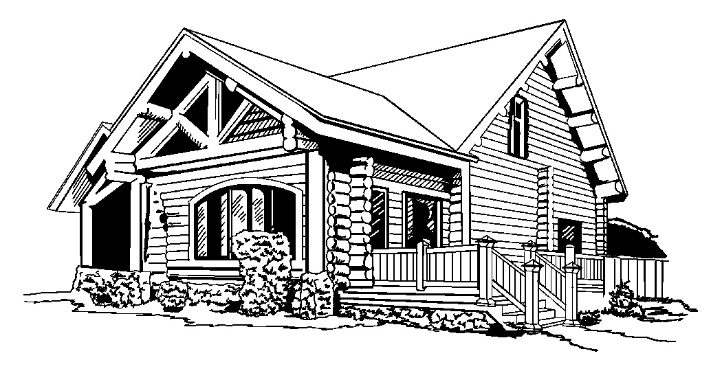 Pen & ink