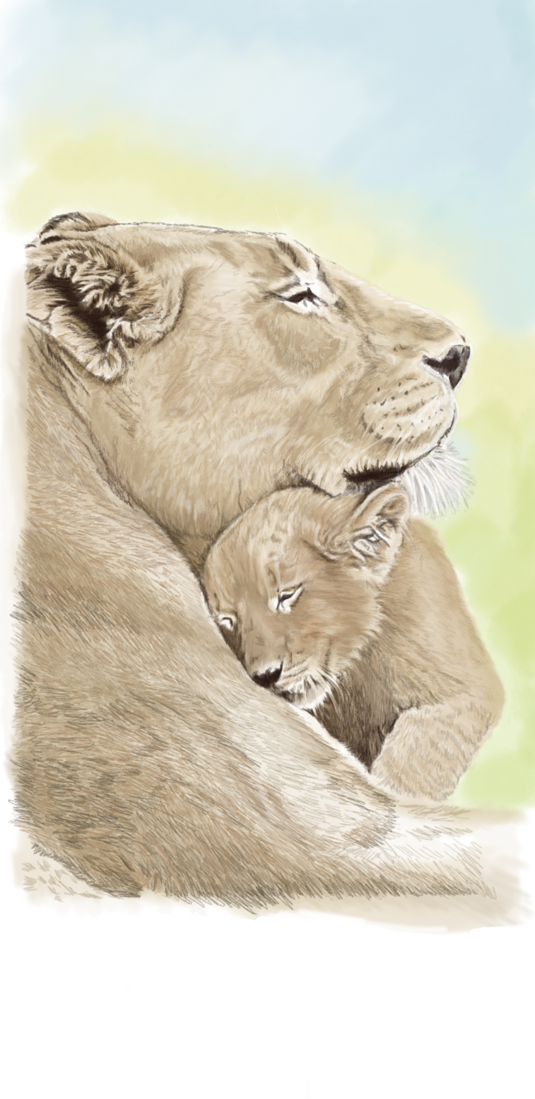 Digital color pencils