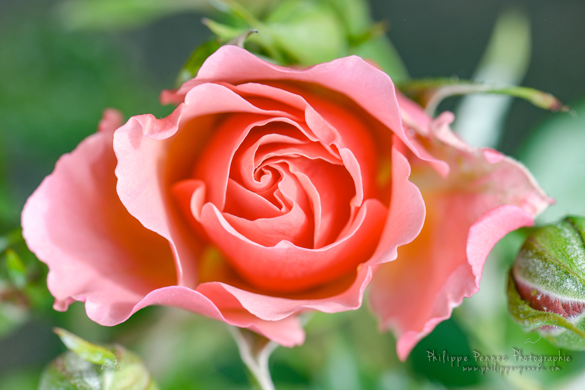 034s / 25 Mai 2019