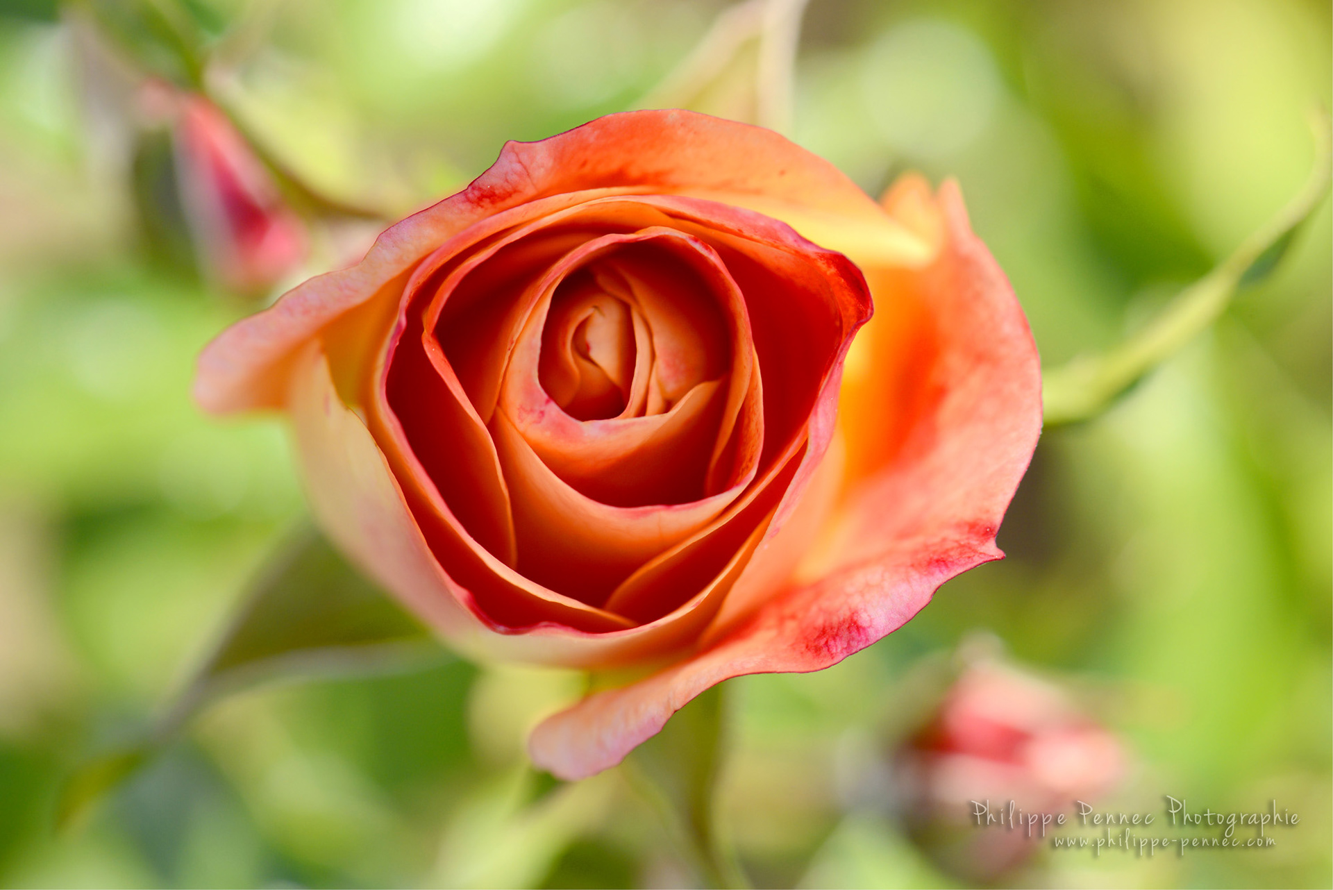 019HDR / 20 Sept 2018