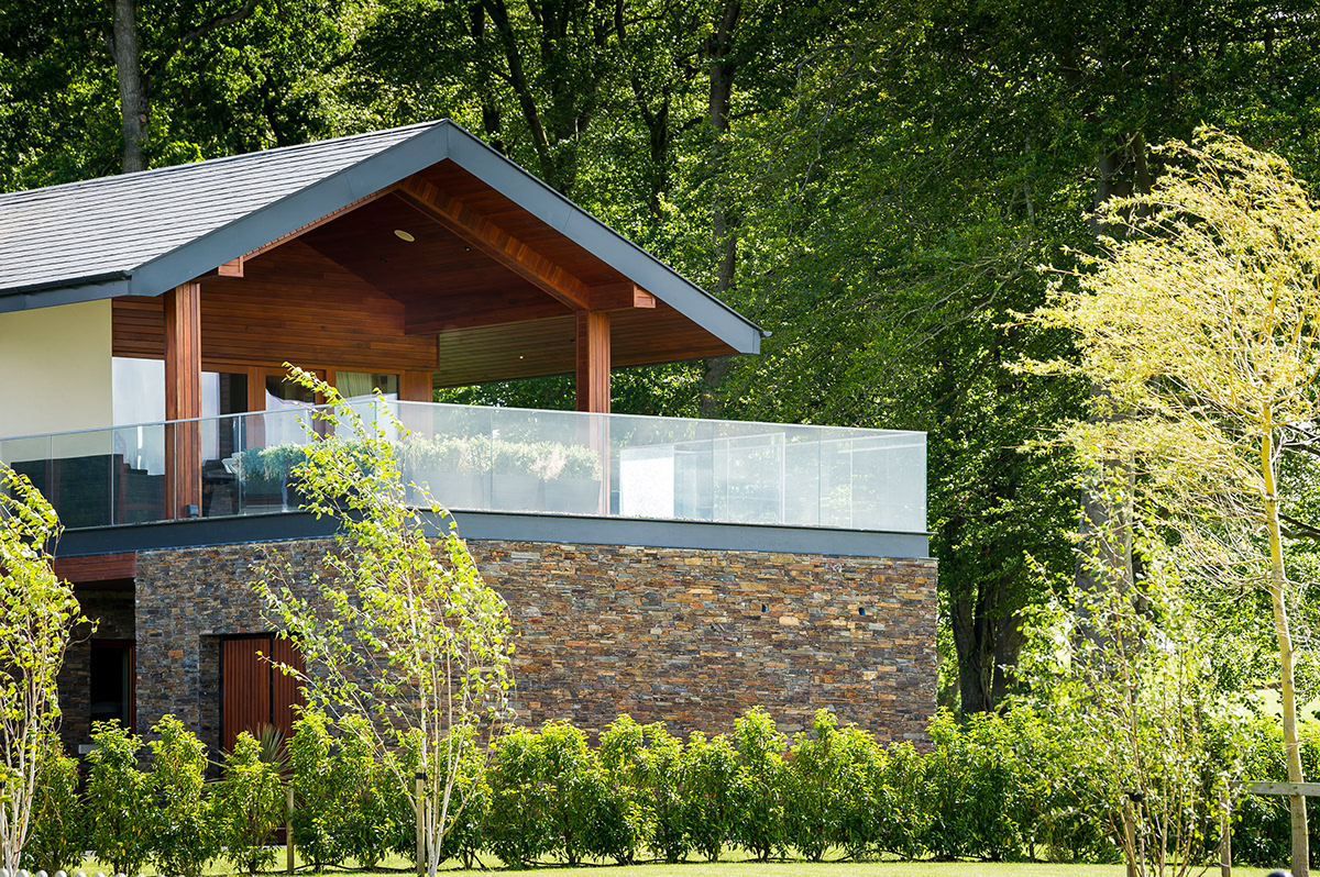 Daithi Taylor Leinster Wood Ireland