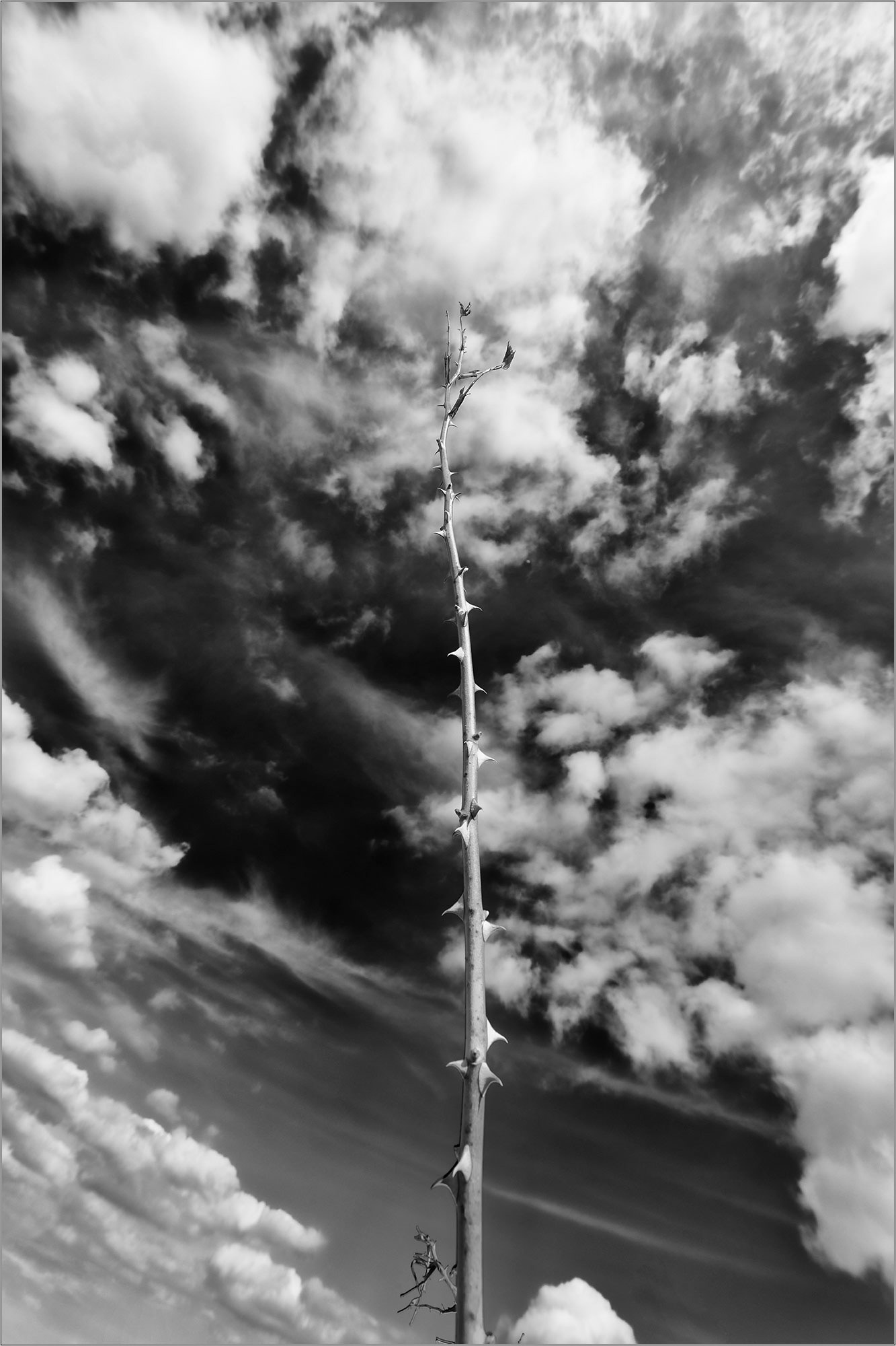 Mother Nature's Paintings In The Sky - Steffen Freiling - Southern Skies - Large Format Print - Limited Edition