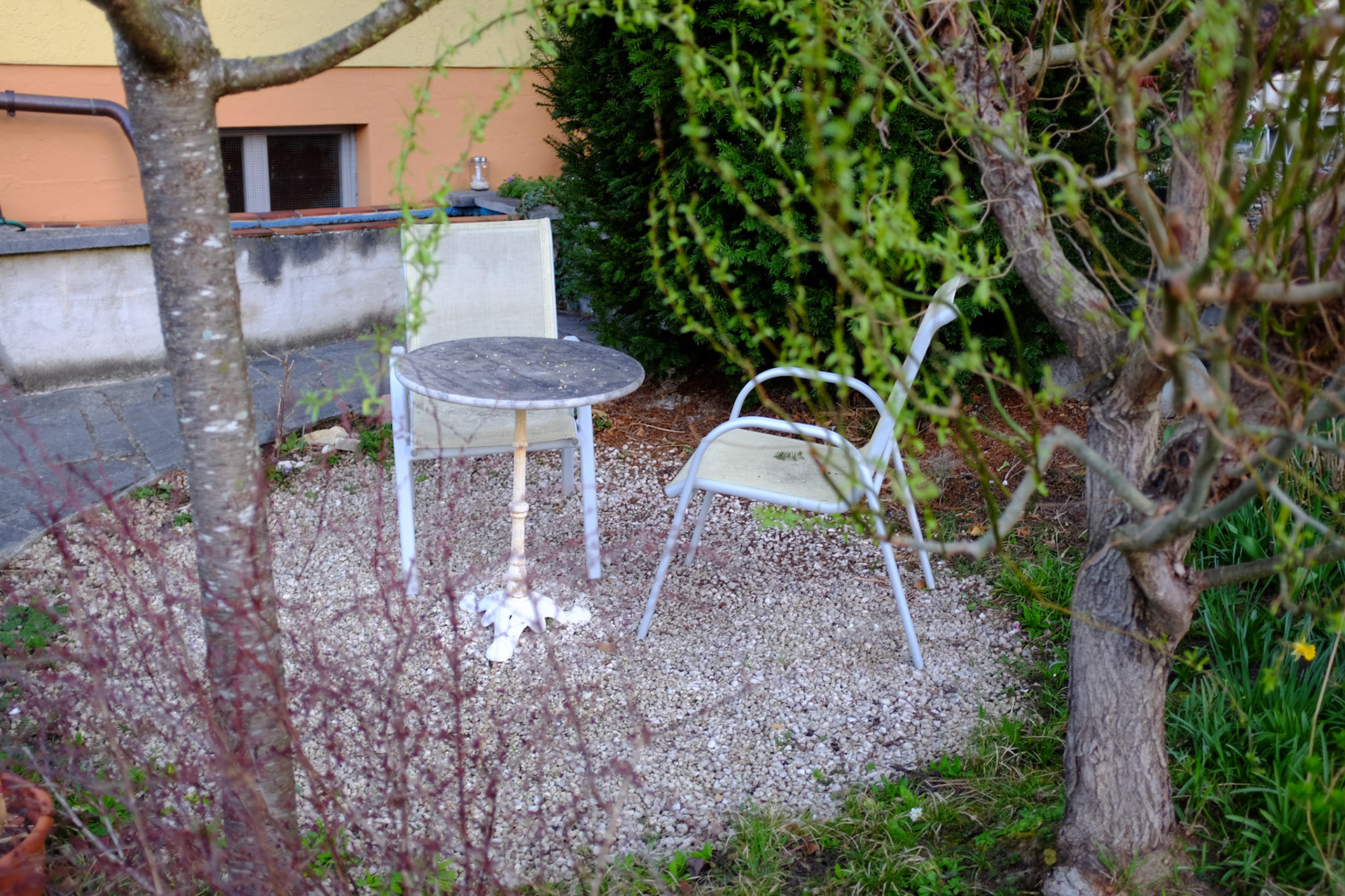 DSCF1083.JPG