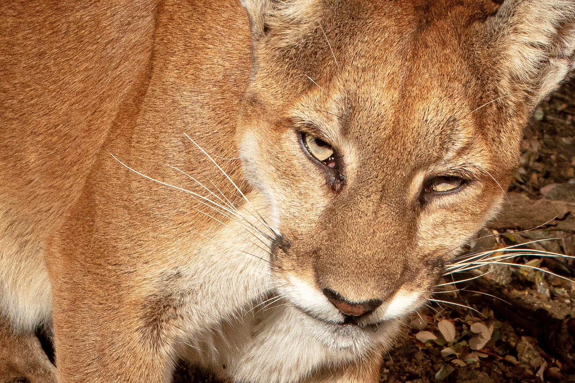 I am really not happy about this....