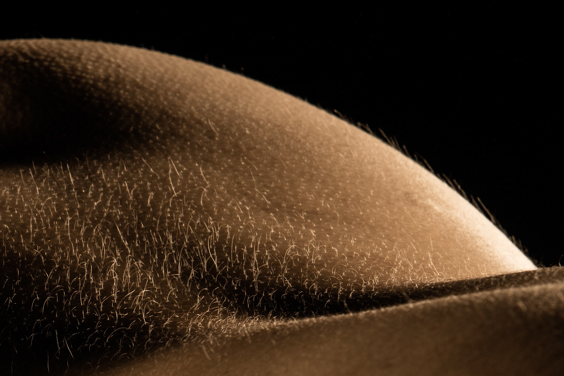 Fur
