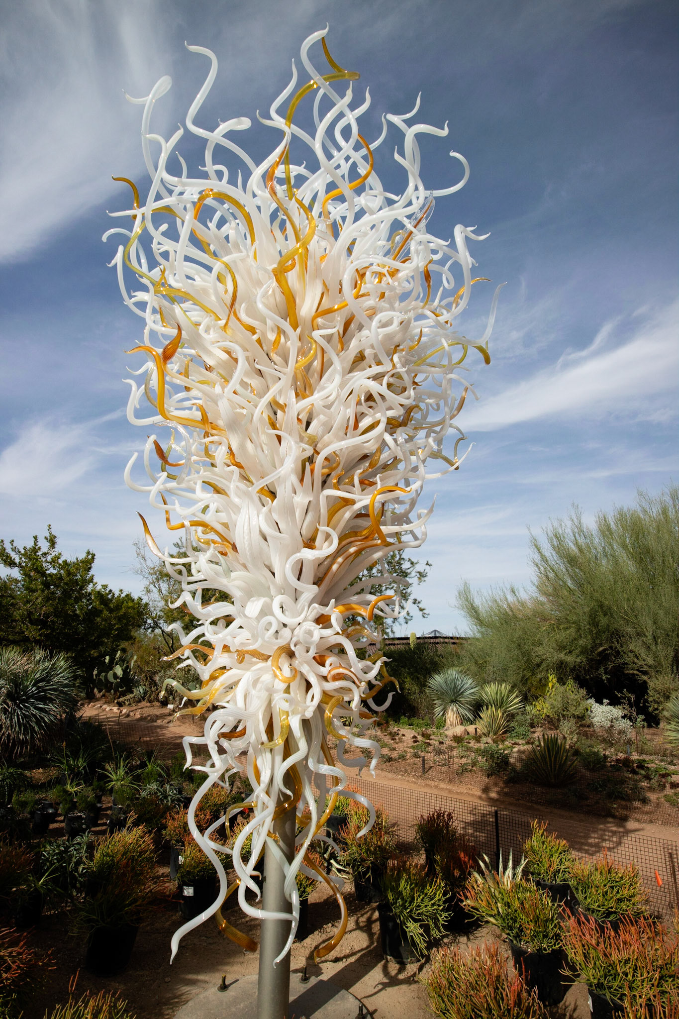Chihuly was here