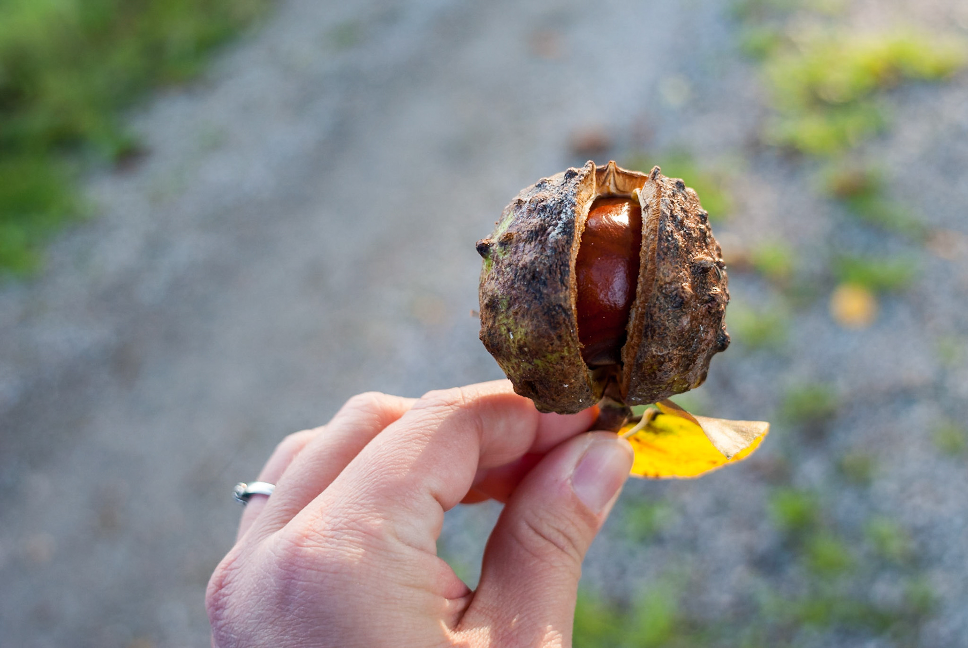 ISO 100 | 24 mm | f/4 | 1/60 s