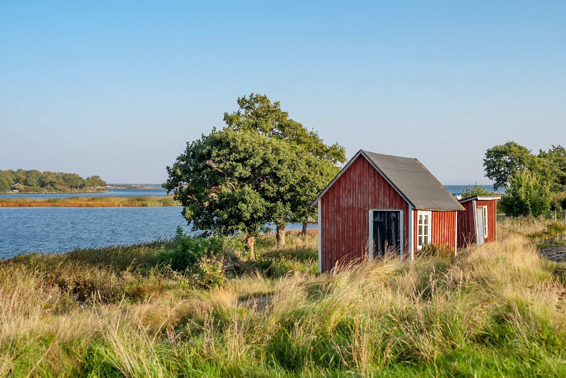 ISO 100 | 24 mm | f/4 | 1/500 s