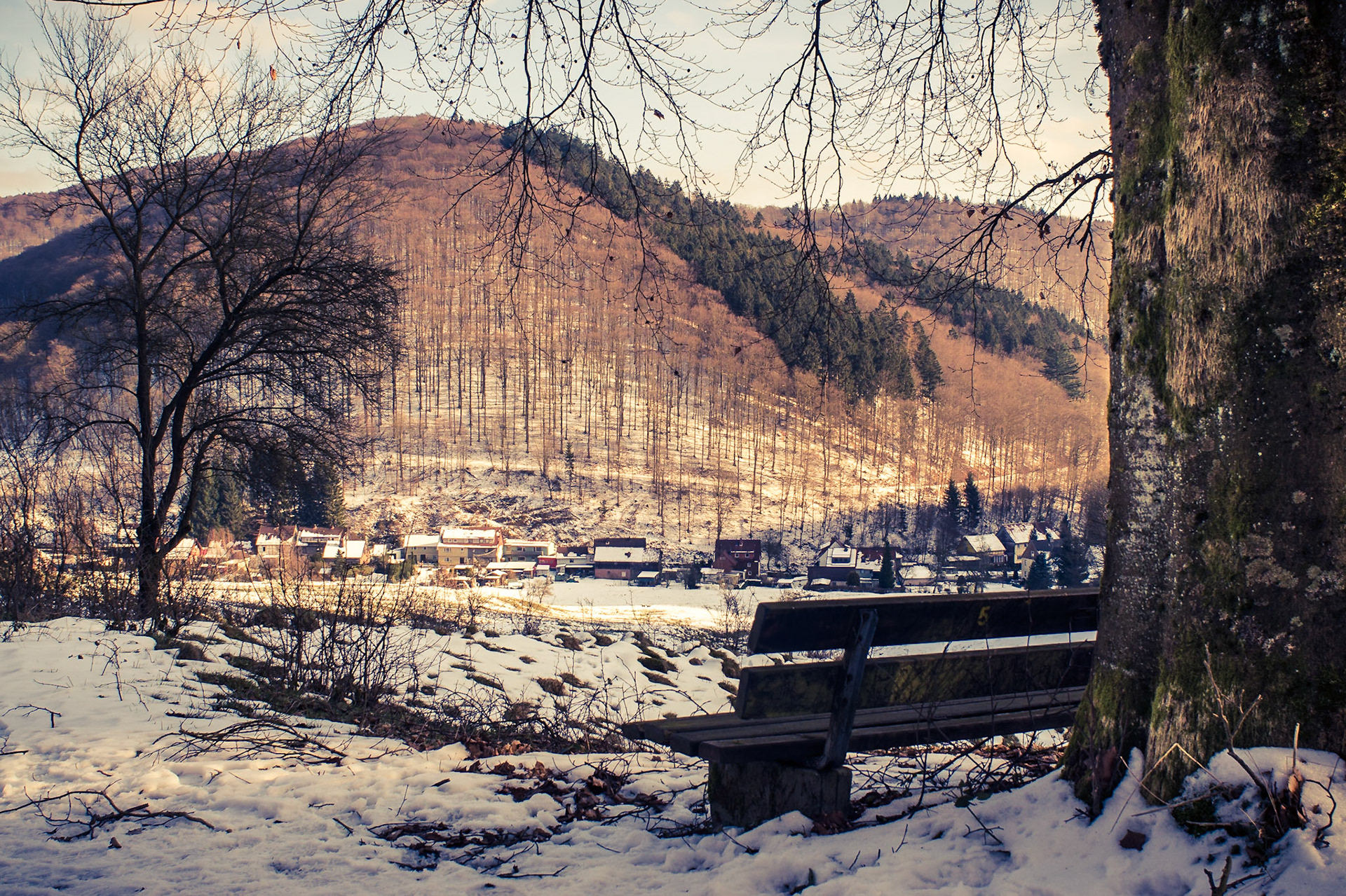 Sony ILCA-77M2 | 24mm F2.8 @ ISO 100 | 24 mm | f/8 | 1/80 s