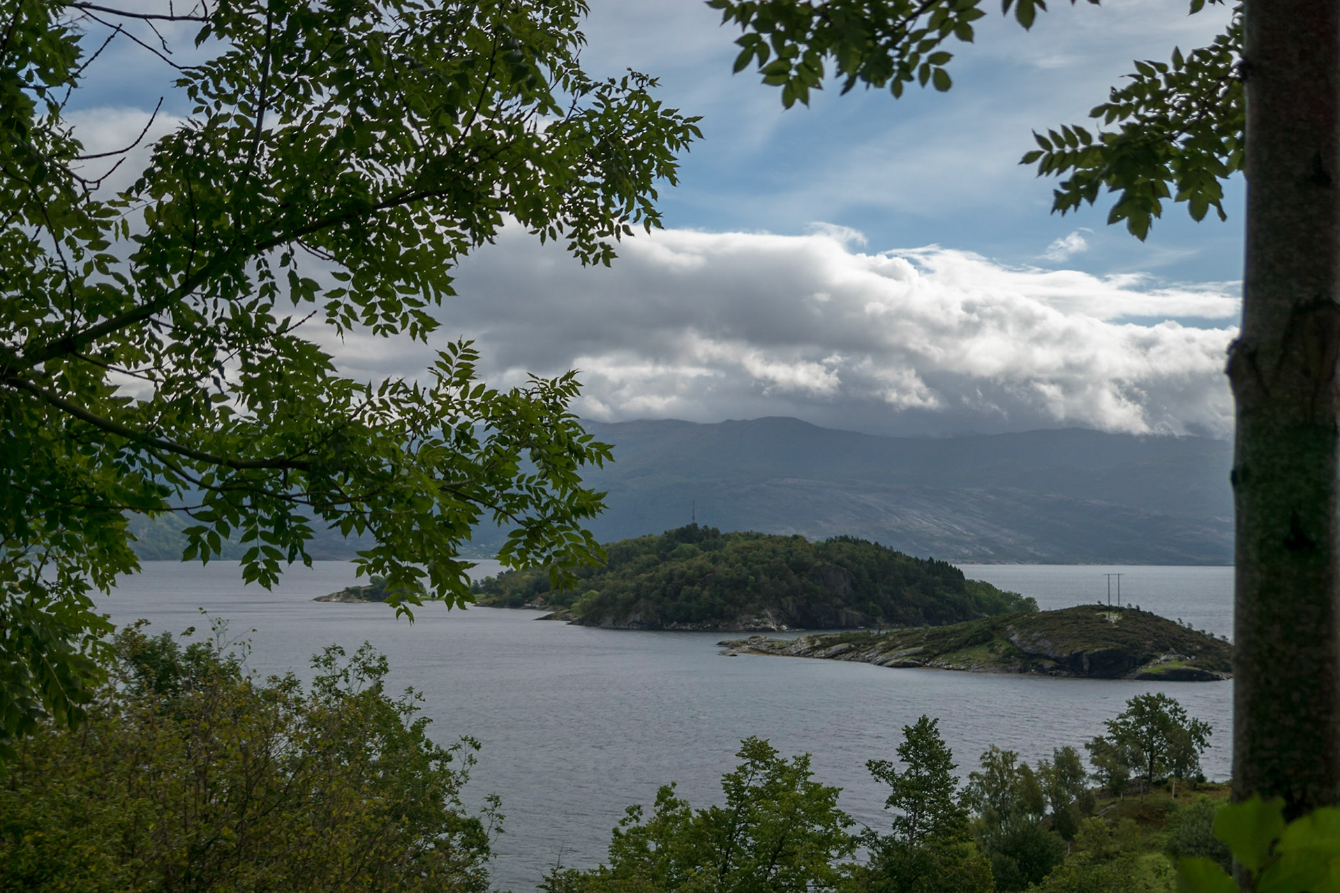 Sony ILCA-77M2 | DT 16-50mm F2.8 SSM @ ISO 100 | 28 mm | f/2.8 | 1/1250 s