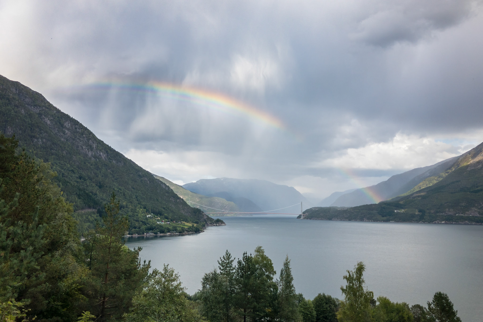 Apple iPhone 8 @ ISO 25 | 3.99 mm | f/1.8 | 1/8000 s