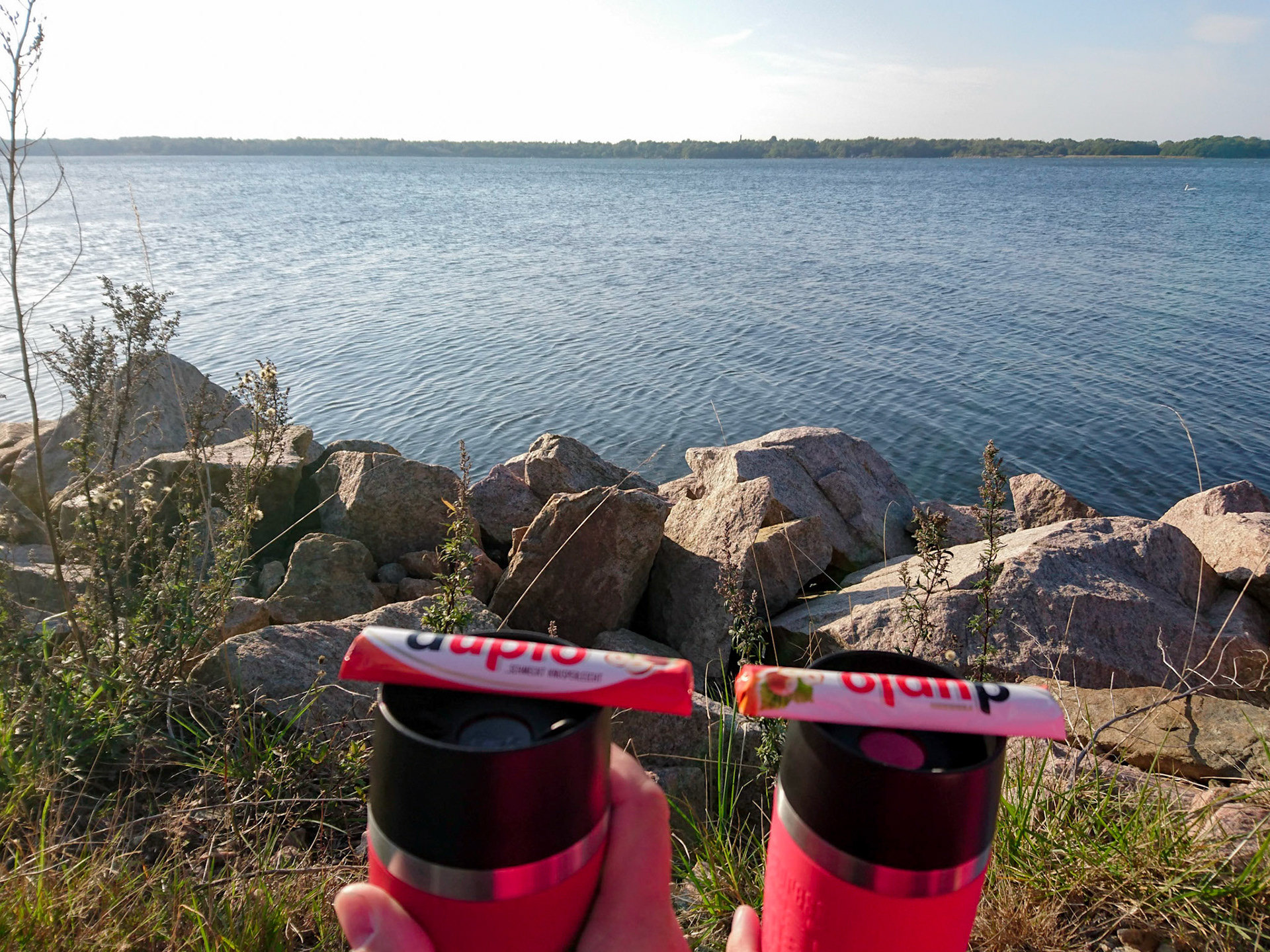 ISO 40 | 4.23 mm | f/2 | 1/1000 s