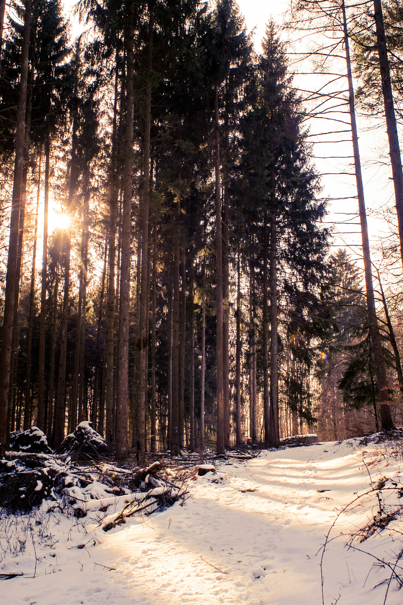 Sony ILCA-77M2 | 24mm F2.8 @ ISO 100 | 24 mm | f/8 | 1/60 s