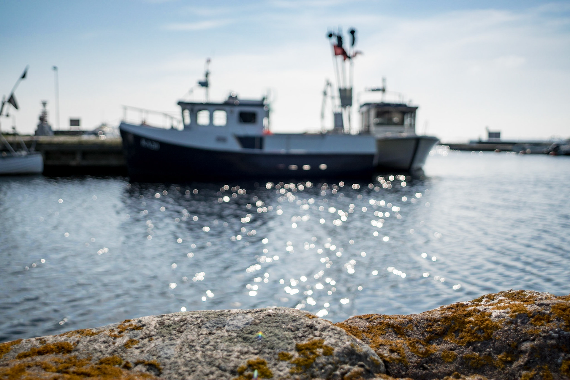 ISO 100 | 24 mm | f/2.8 | 1/2500 s