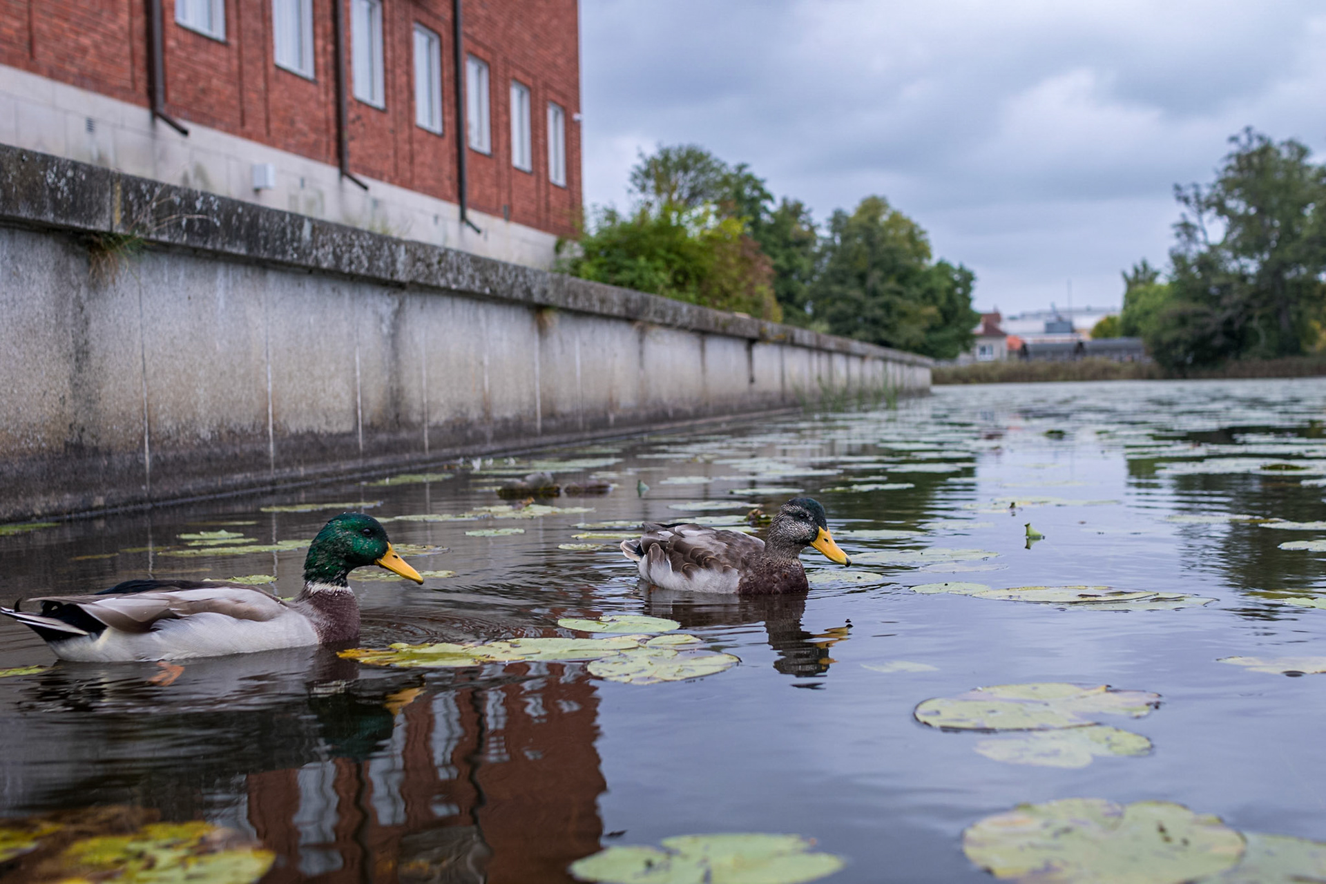 Am Stadthaus Tranås
