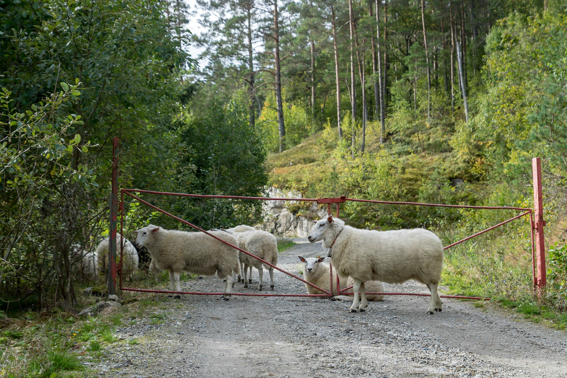 Sony ILCA-77M2 | DT 16-50mm F2.8 SSM @ ISO 100 | 50 mm | f/4 | 1/200 s