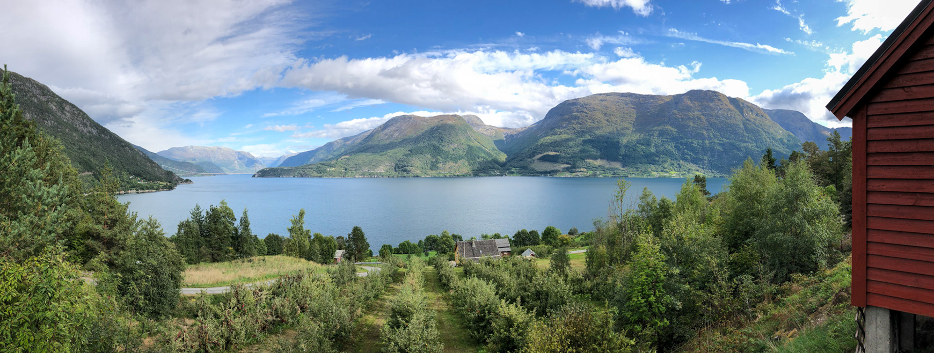 Apple iPhone 8 @ ISO 20 | 3.99 mm | f/1.8 | 1/1500 s