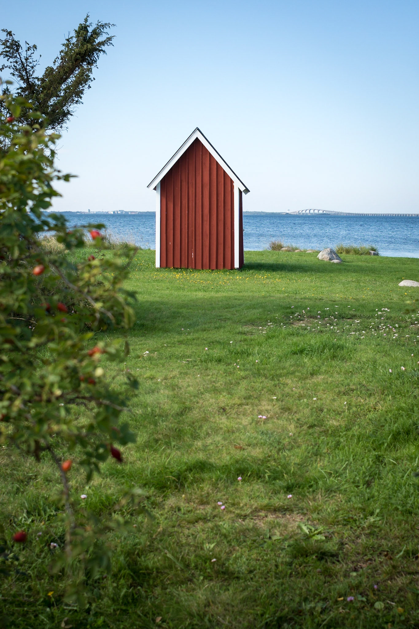 ISO 100 | 24 mm | f/5 | 1/320 s