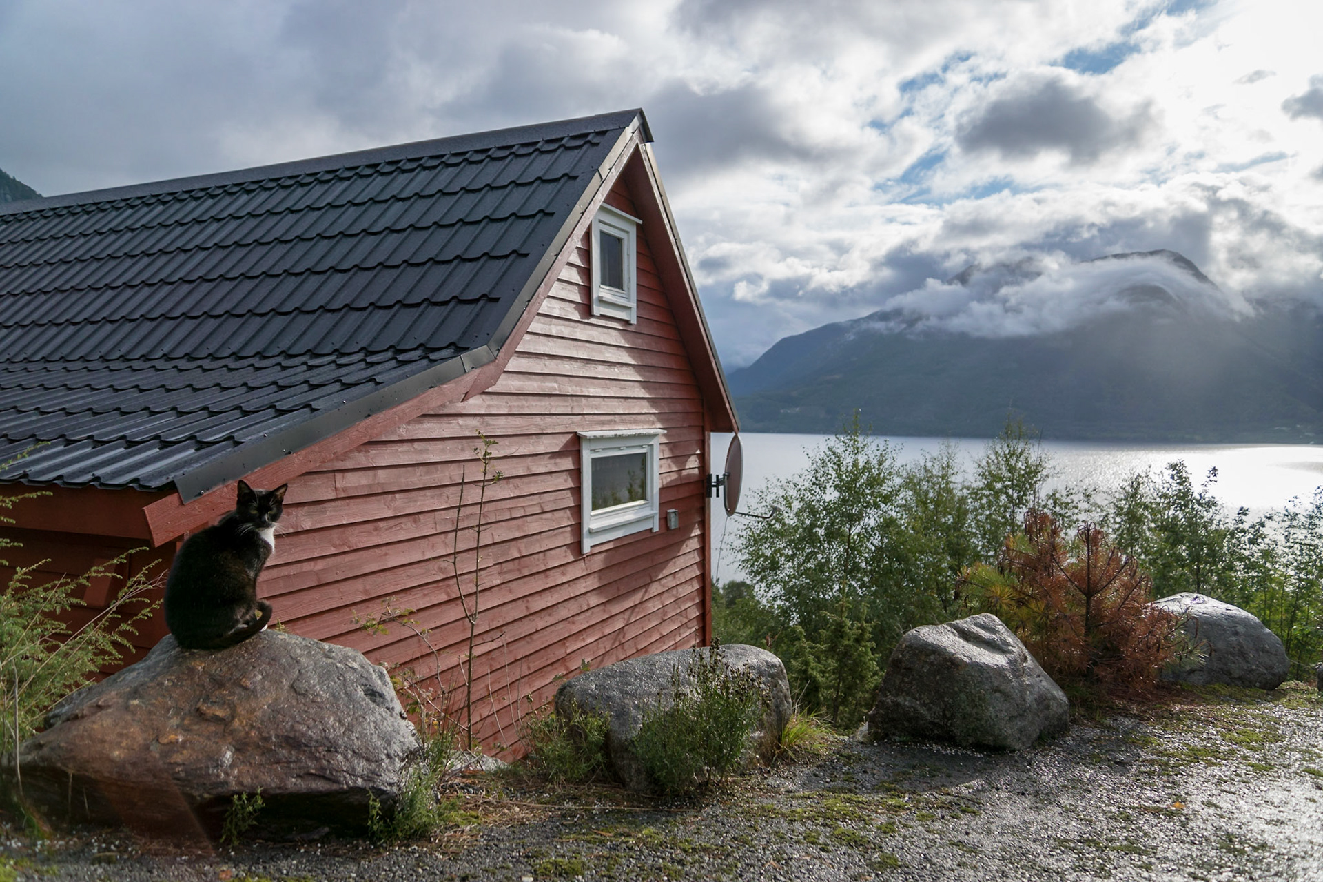 Sony ILCA-77M2 | DT 16-50mm F2.8 SSM @ ISO 100 | 16 mm | f/2.8 | 1/1600 s