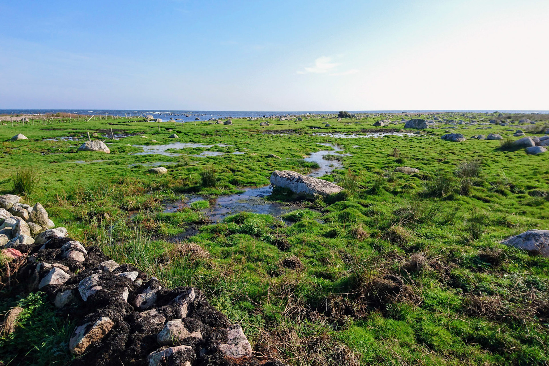 ISO 40 | 4.23 mm | f/2 | 1/800 s