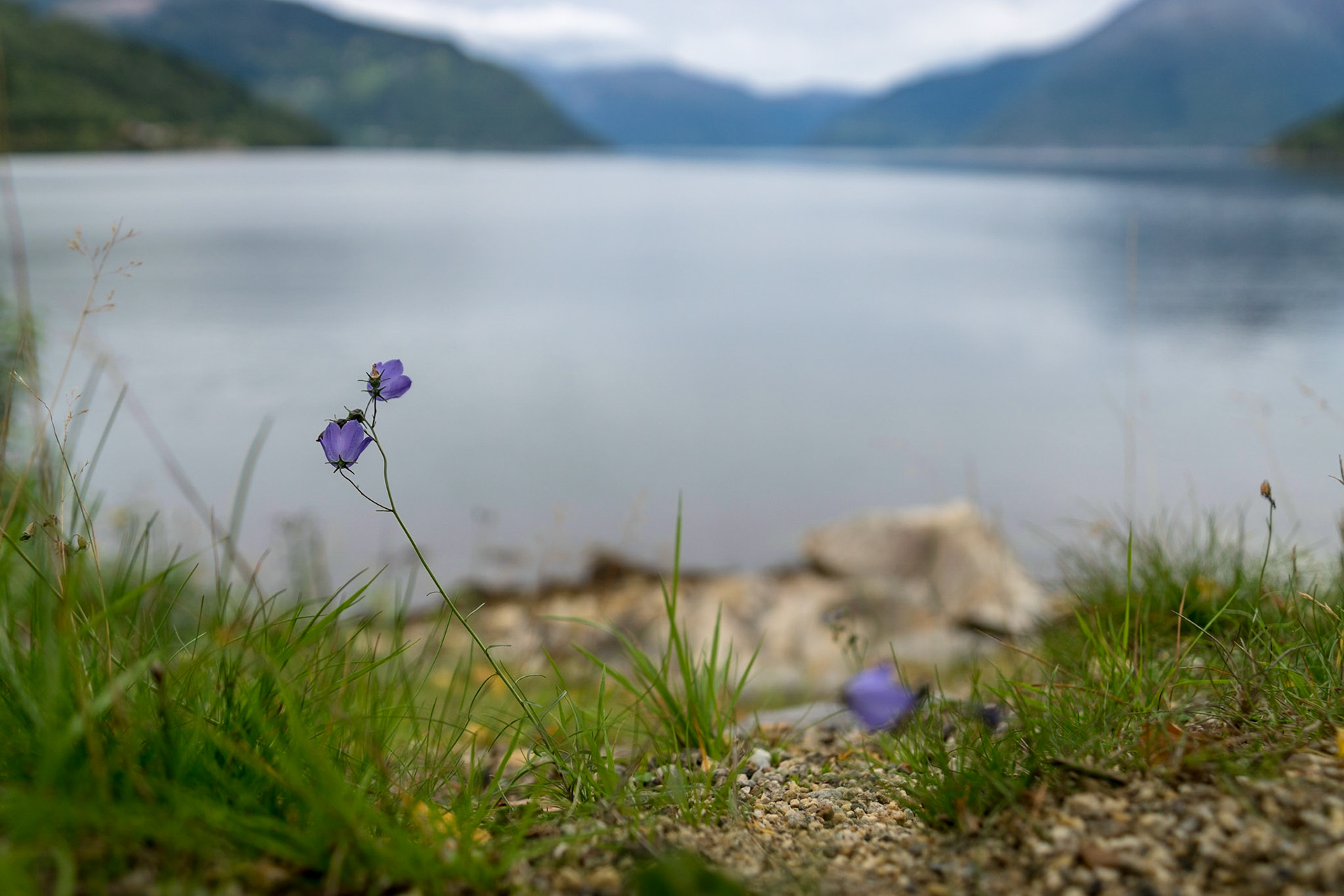 Sony ILCA-77M2 | DT 16-50mm F2.8 SSM @ ISO 100 | 22 mm | f/2.8 | 1/500 s