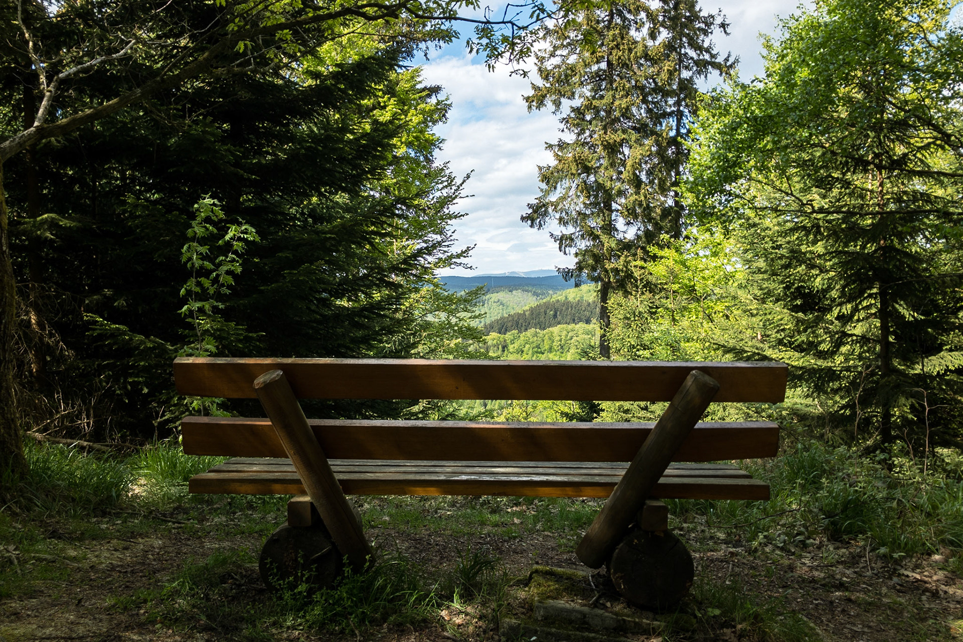 Apple iPhone 8 | iPhone 8 back camera 3.99mm f/1.8 @ ISO 20 | 3.99 mm | f/1.8 | 1/2000 s