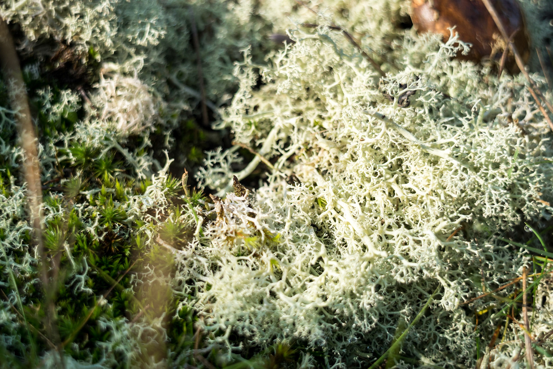 ISO 100 | 24 mm | f/4 | 1/640 s