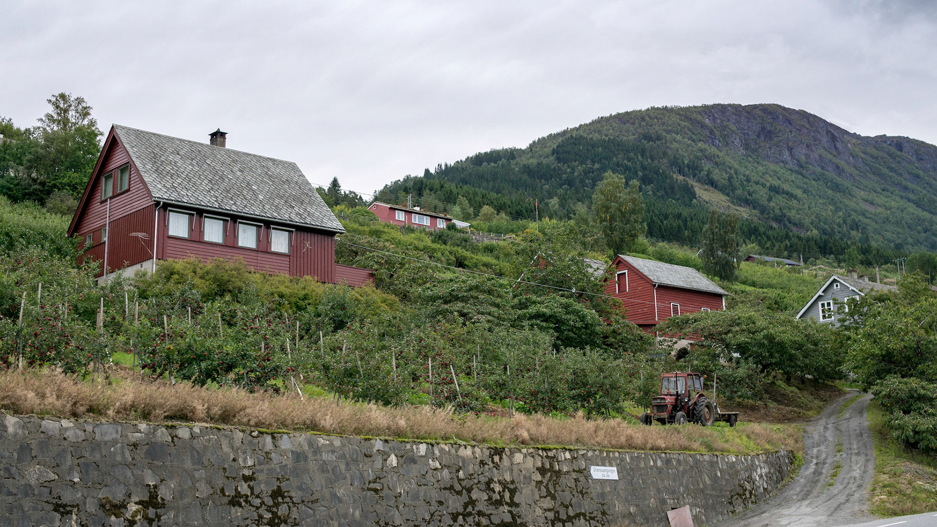 Sony ILCA-77M2 | DT 30mm F1.4 @ ISO 100 | 30 mm | f/5 | 1/500 s