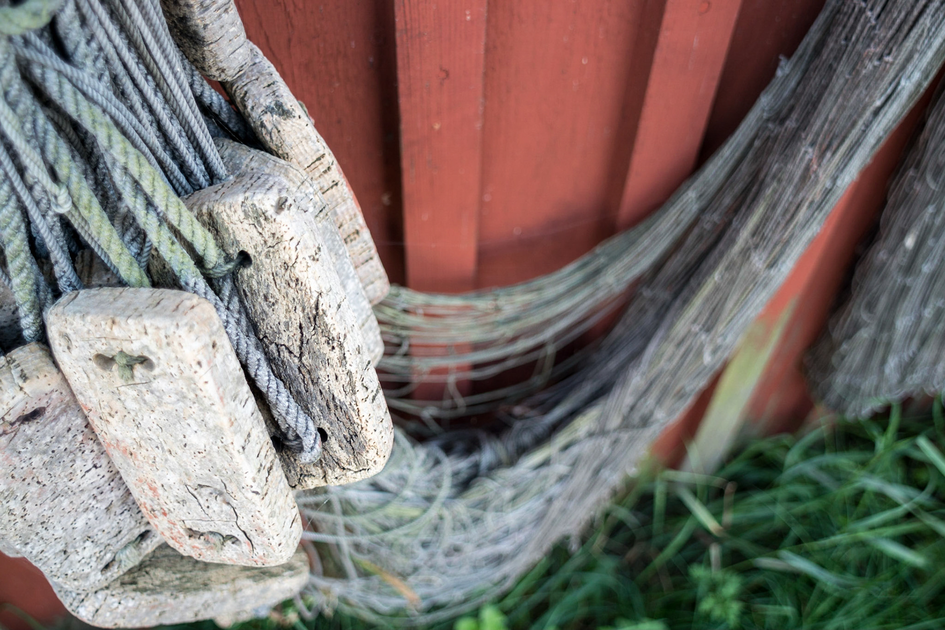 ISO 100 | 24 mm | f/2.8 | 1/125 s