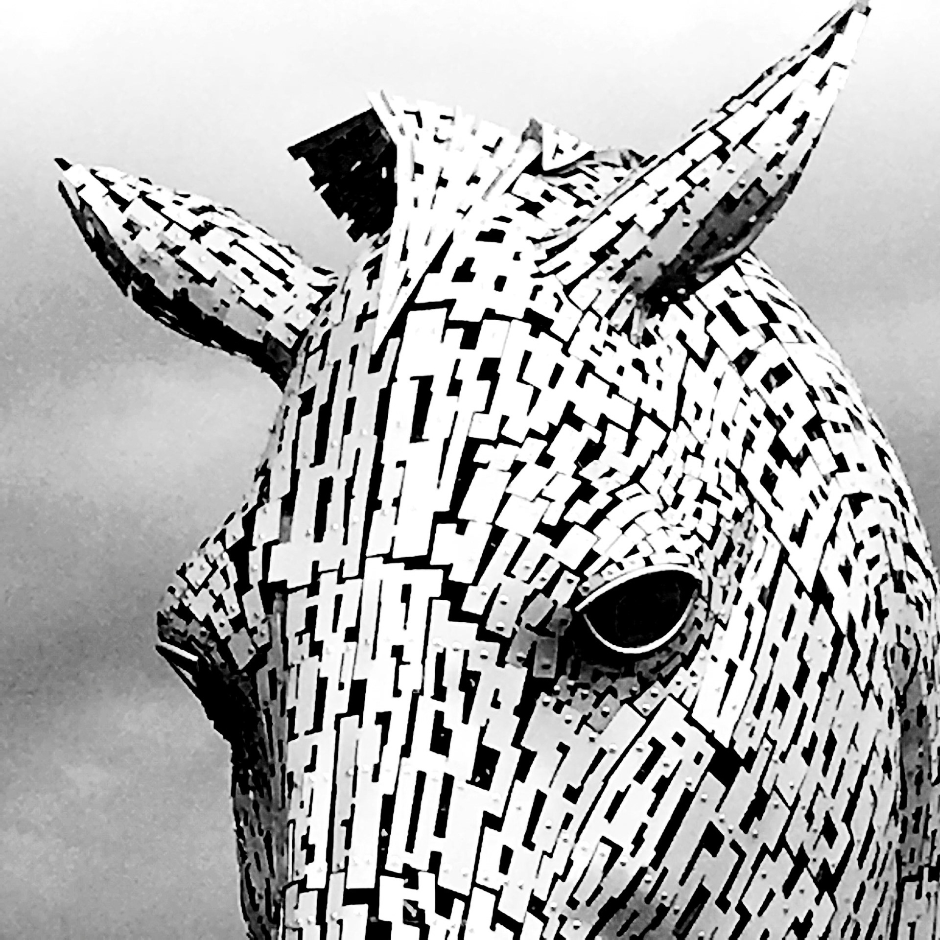 KELPIE