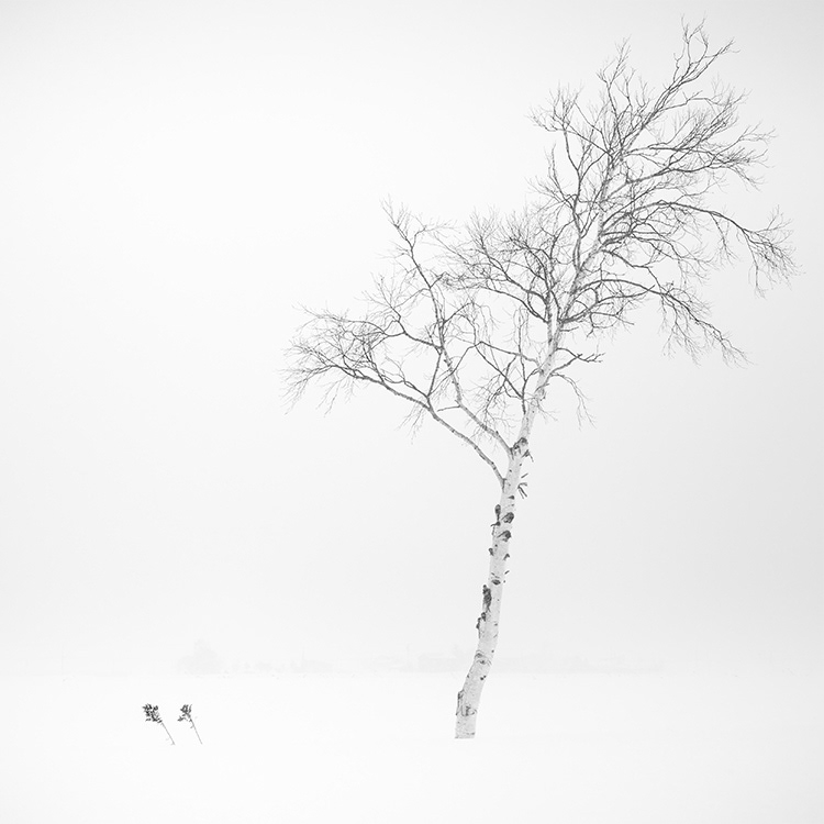 Photos taken in winter in Hokkaido.